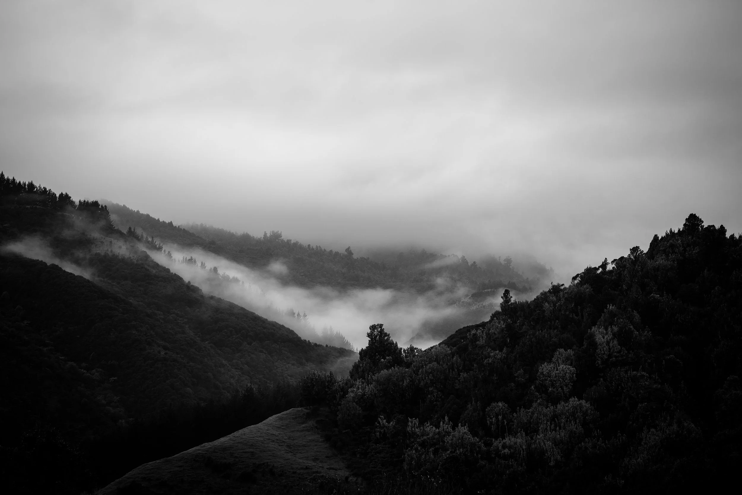 _P1A5719.jpg