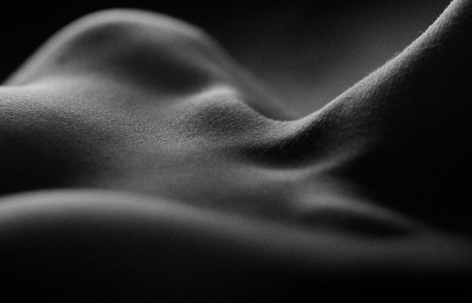 ~m~copyright 2011 A McBurnie-4.jpg