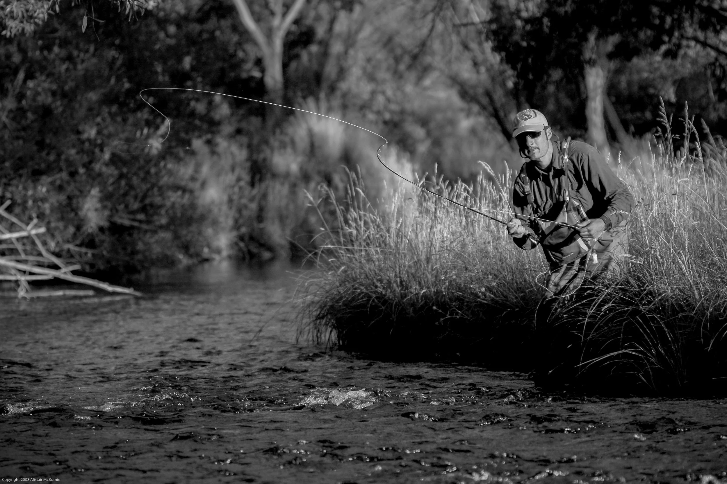Anth-161Copyright 2008 Alistair McBurnie.jpg