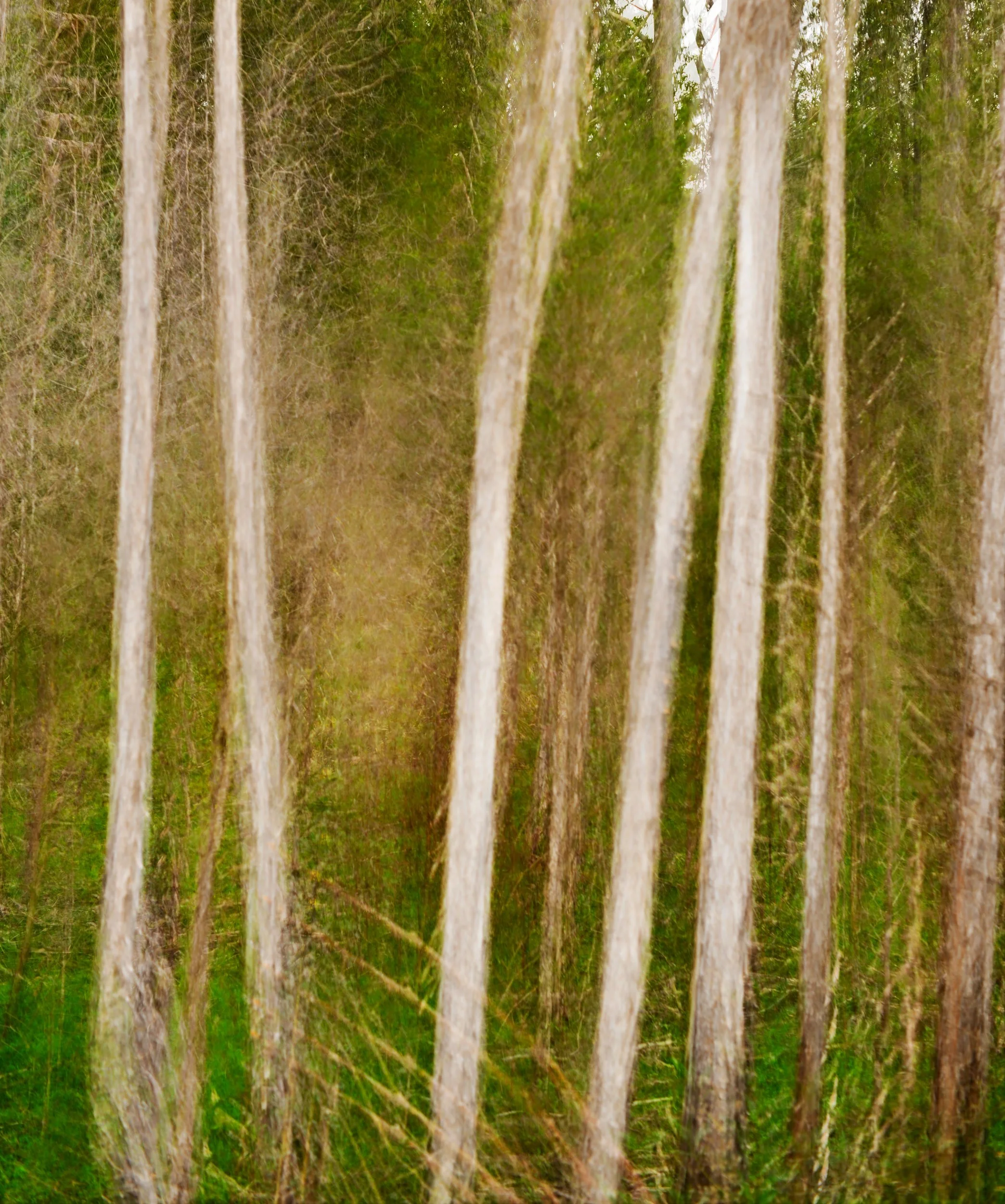 Ghostly Poles