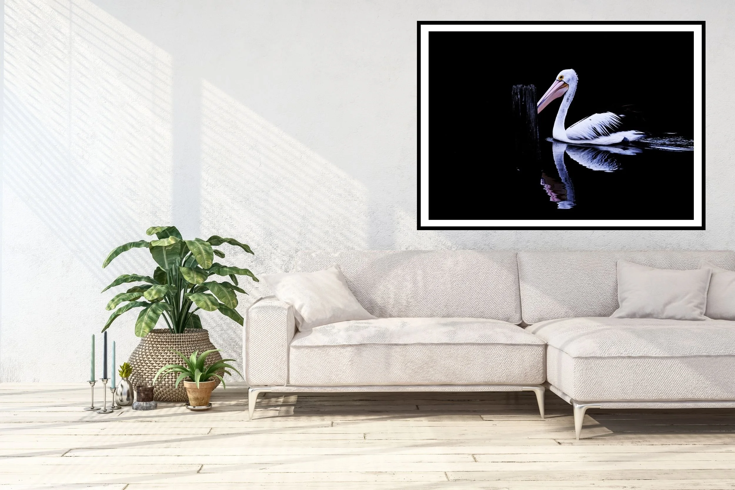 A striking minimalist photograph of a black and white Pelican set against a deep black background