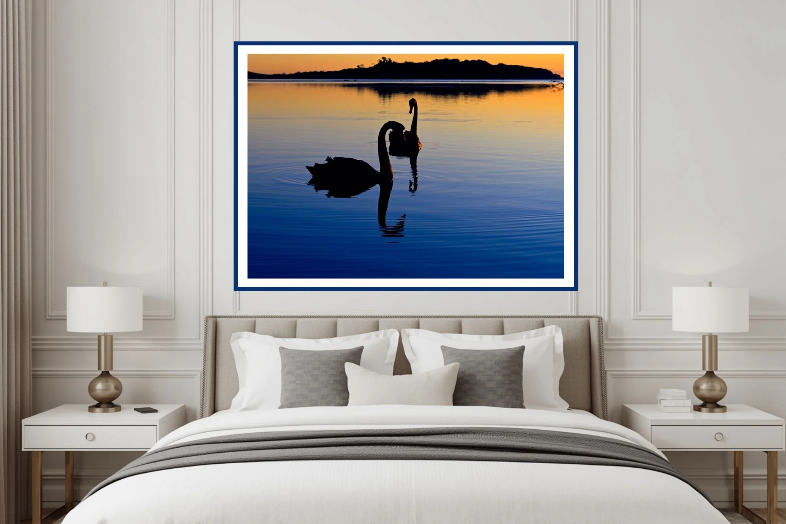 A pair of Black Swans swimming upclose at Lake Tyers in the beautiful Blue-Hour tones before sunrise.
