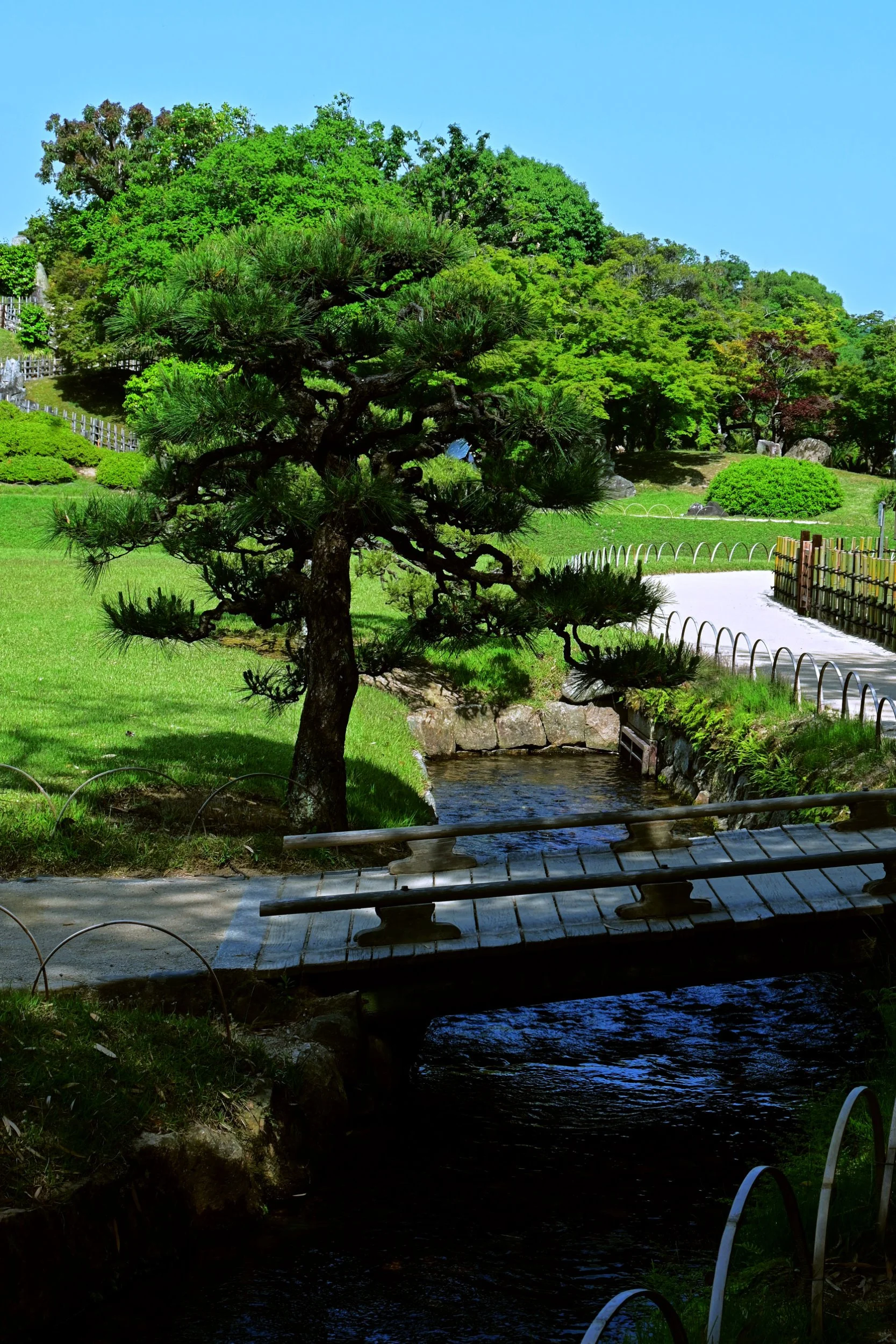 Tranquility - Korokuen Gardens