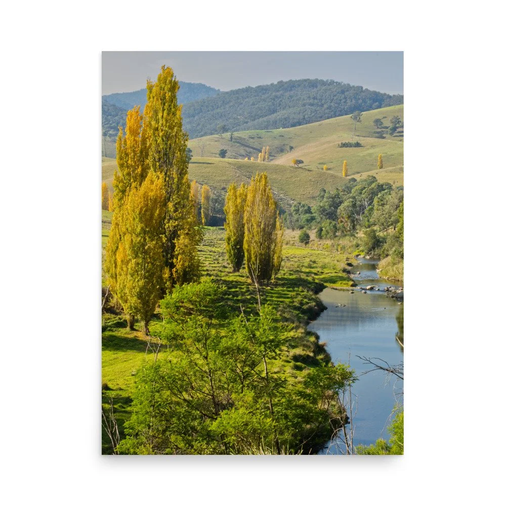 tambo river, gippsland, victoria, autumn, victoria, australia, photo, country, nature