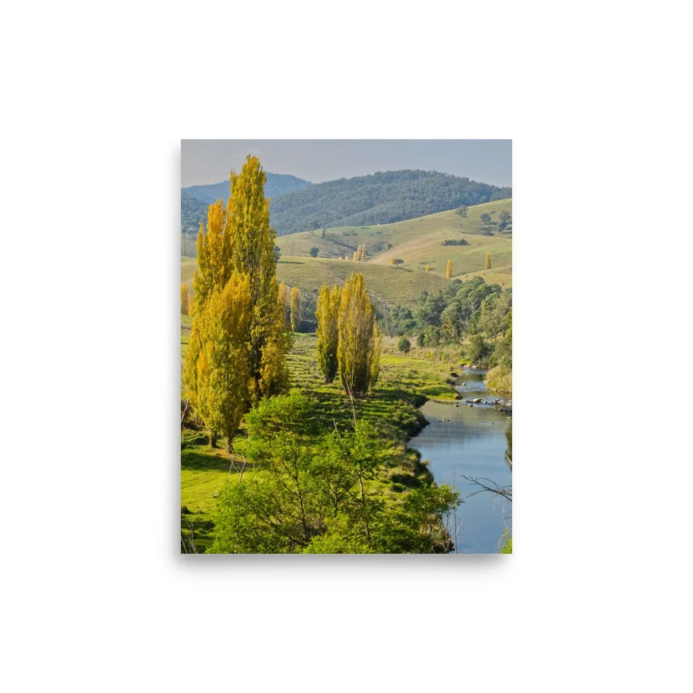 tambo river, gippsland, victoria, autumn, victoria, australia, photo, country, nature