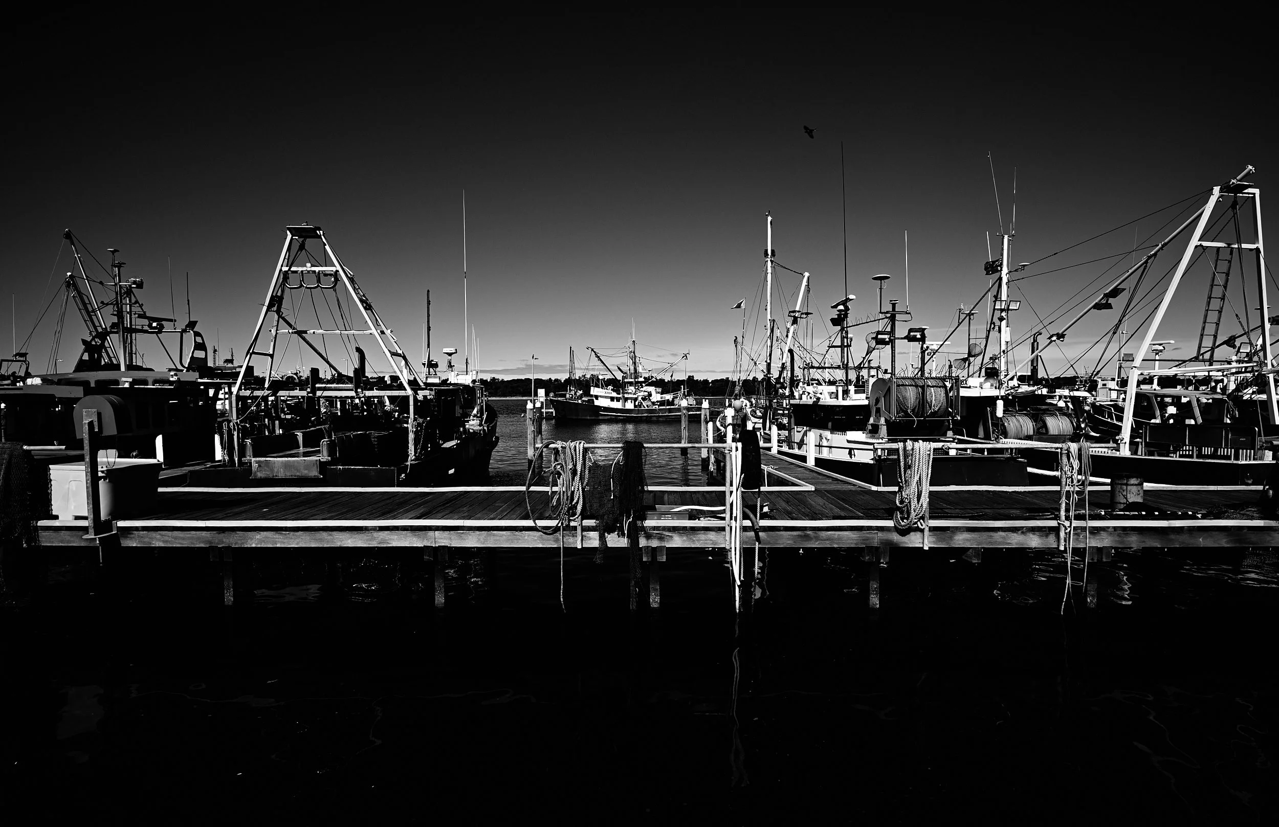 Fishing Boats at The Docks