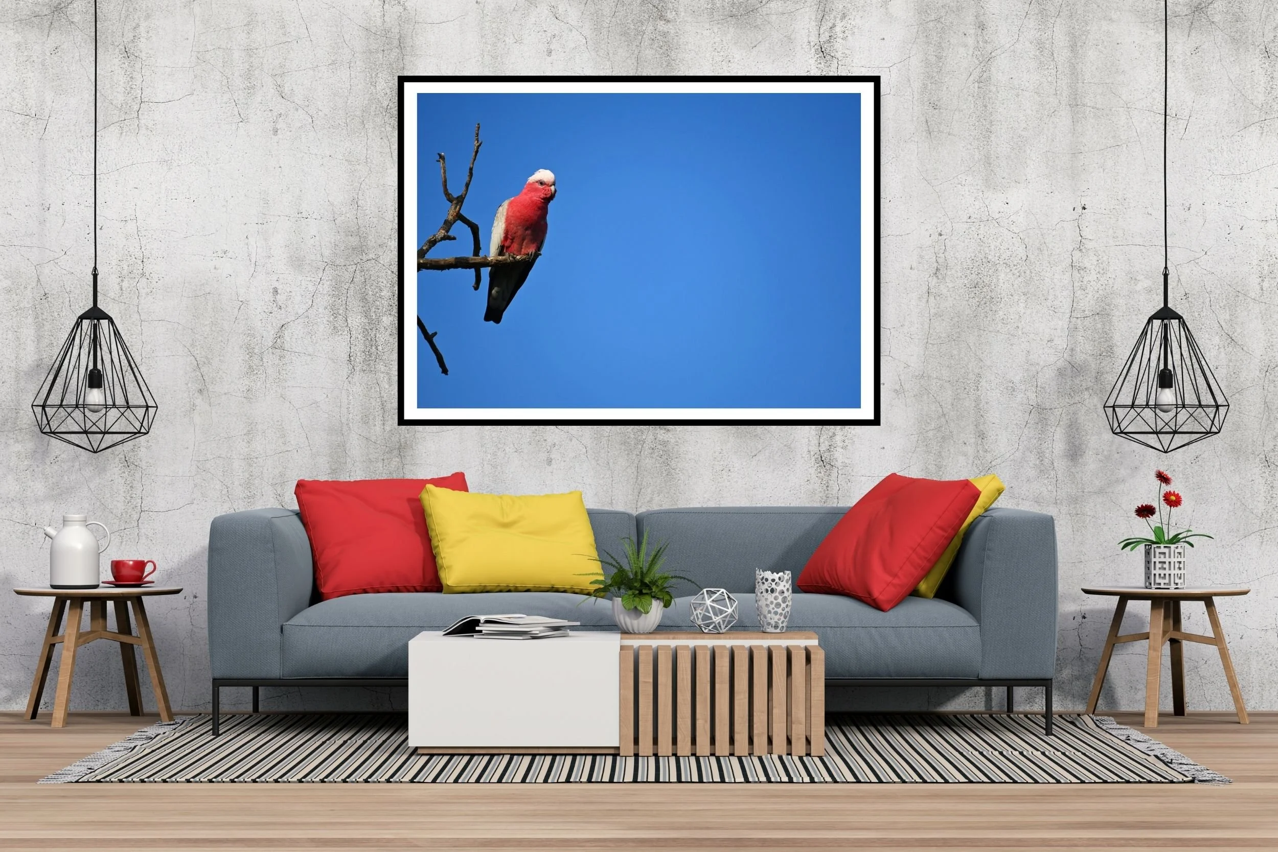 Striking Australian Galah photograph featuring vibrant pink tones against a deep blue sky.