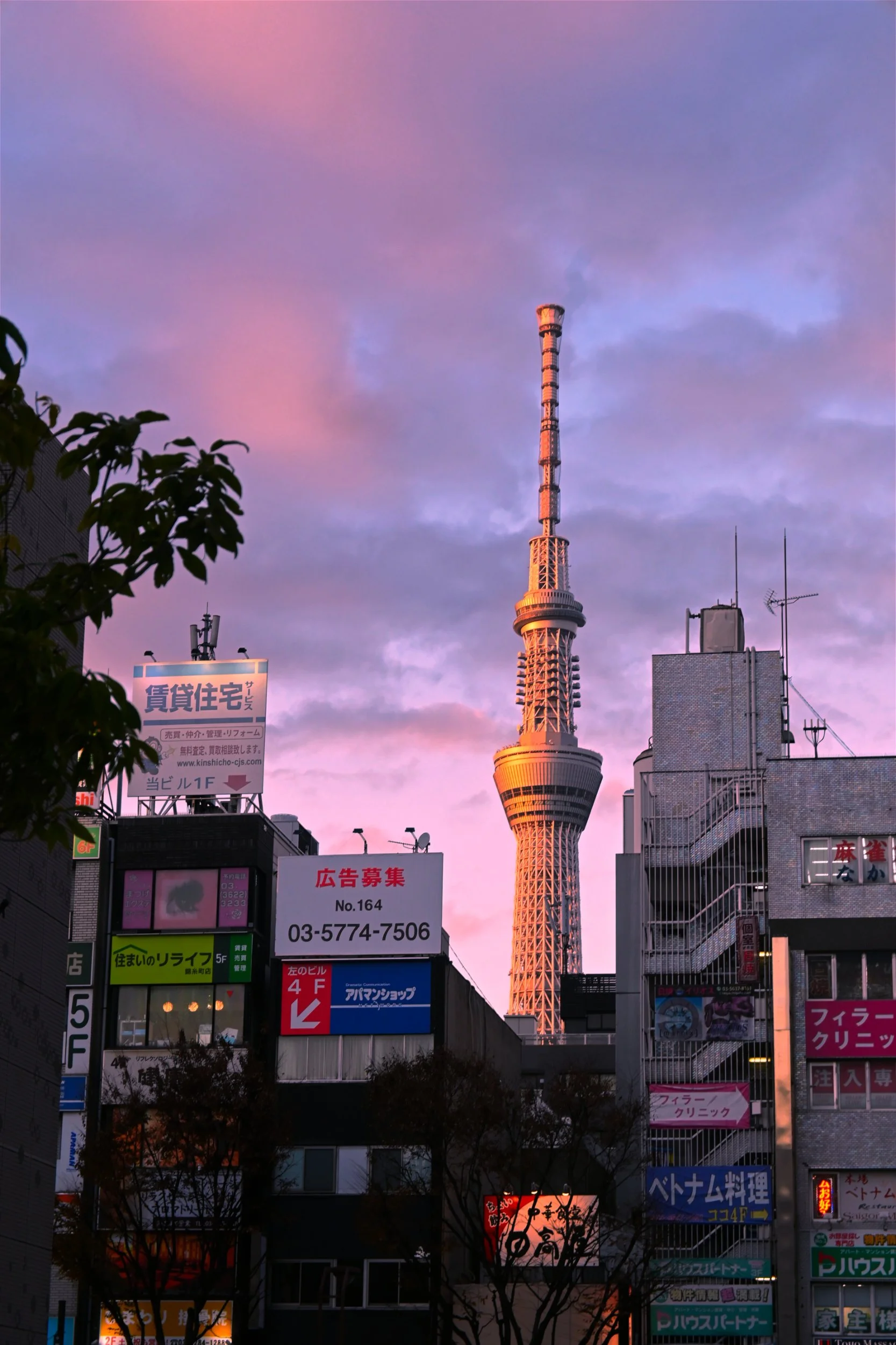 Tokyo Skytree from Kinshichō Station