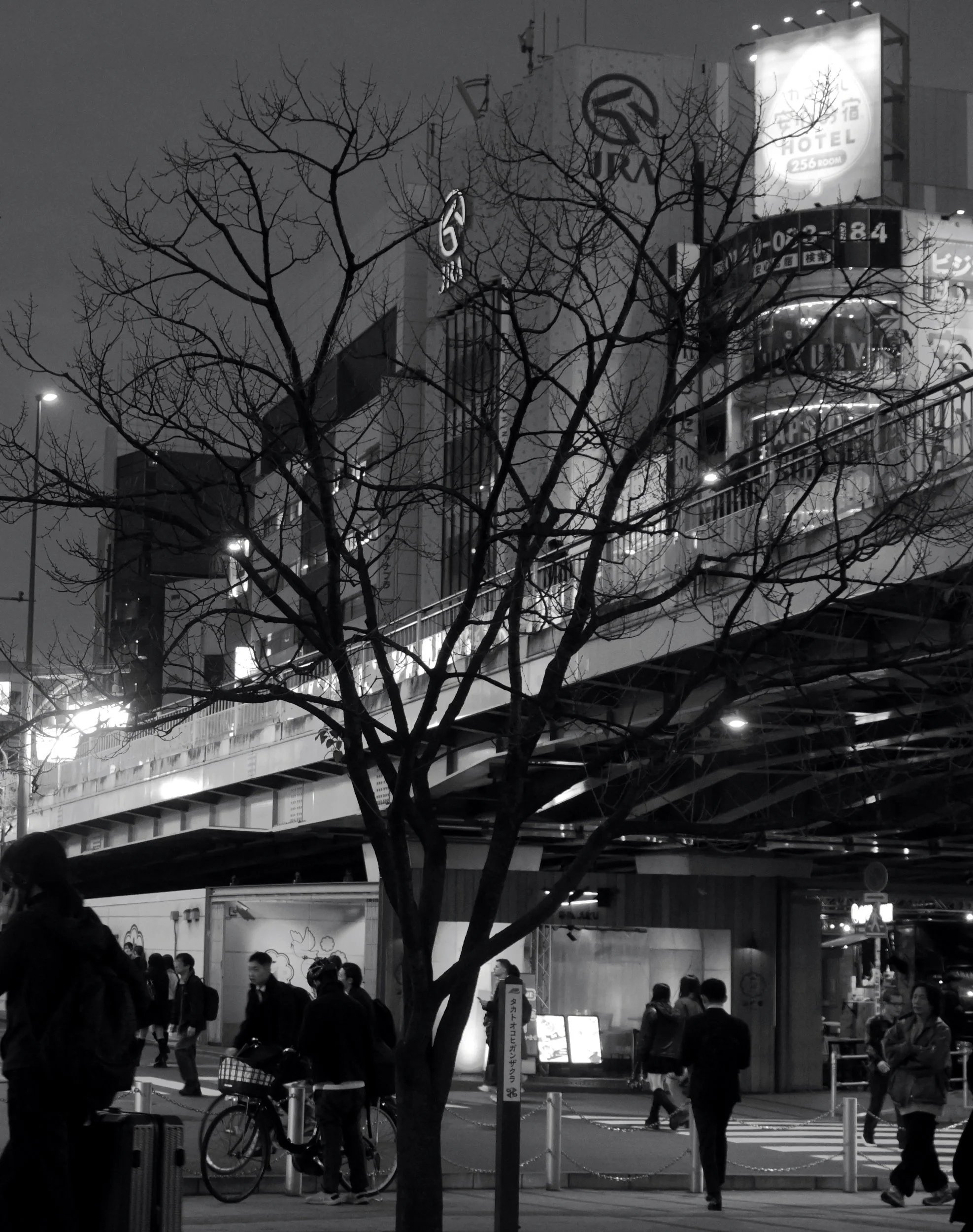 Nightime - Shinjuku