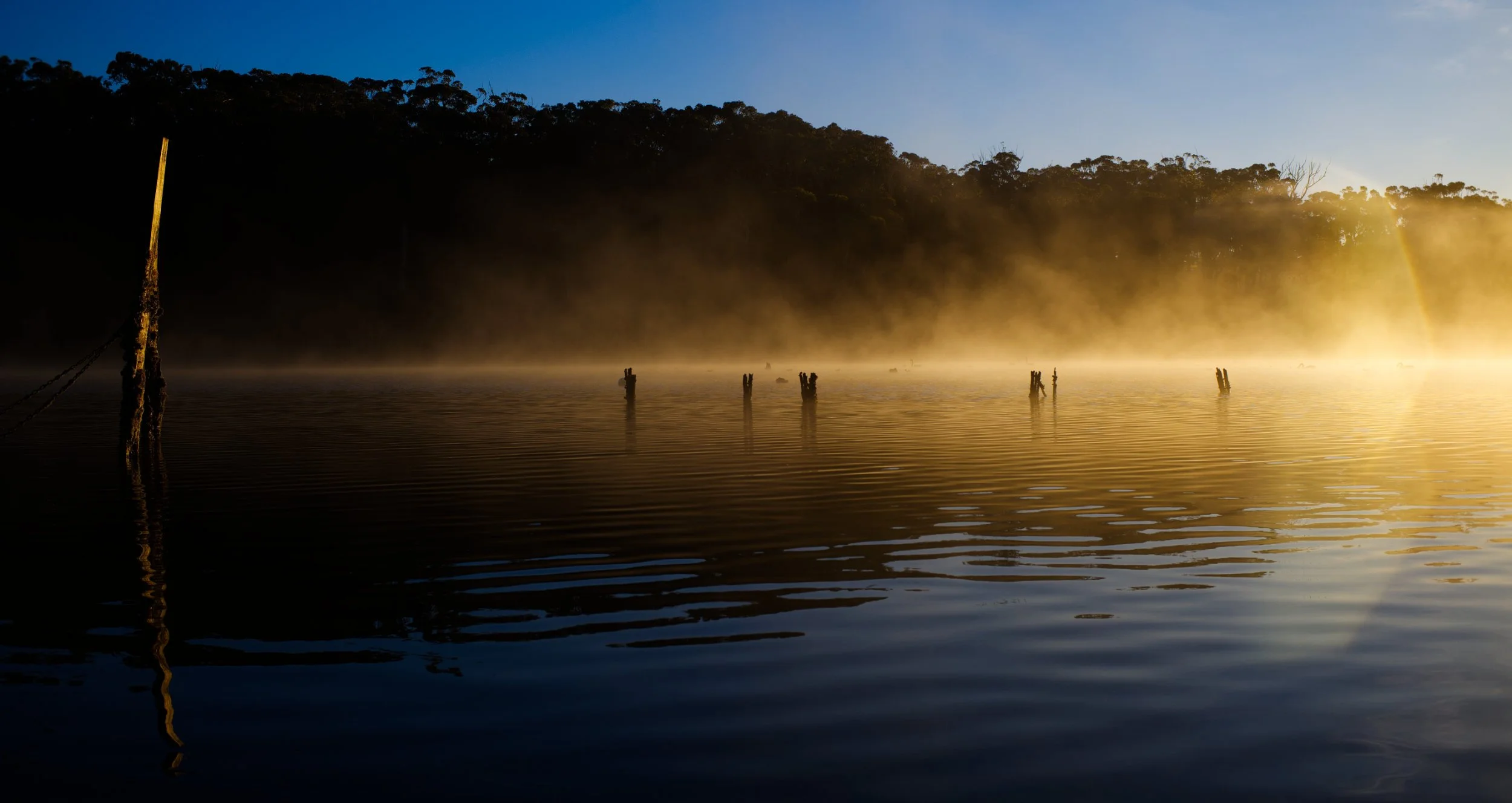 Dawn at Fisherman's Landing