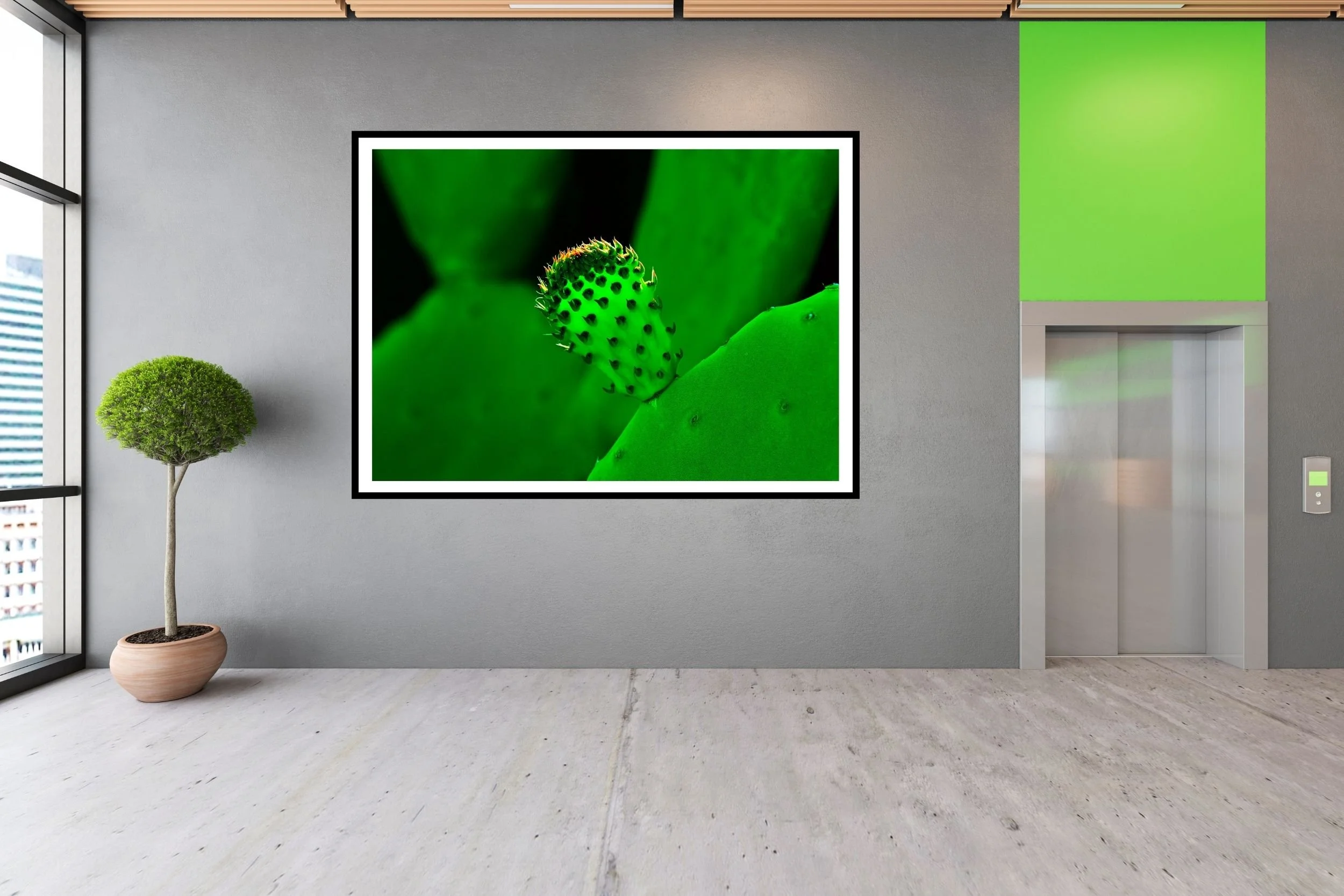 Cactus Bud emerging from a thick Cactus leaf ideal wall art for those whoe love nature art