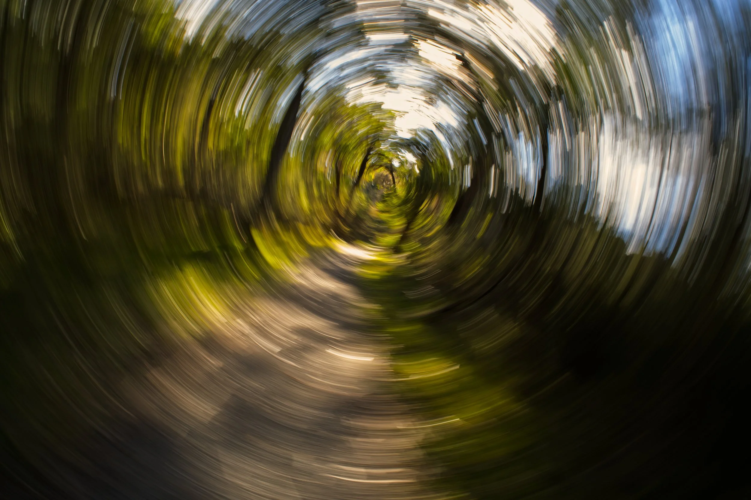 Dizzy Path in Colquhoun Forest