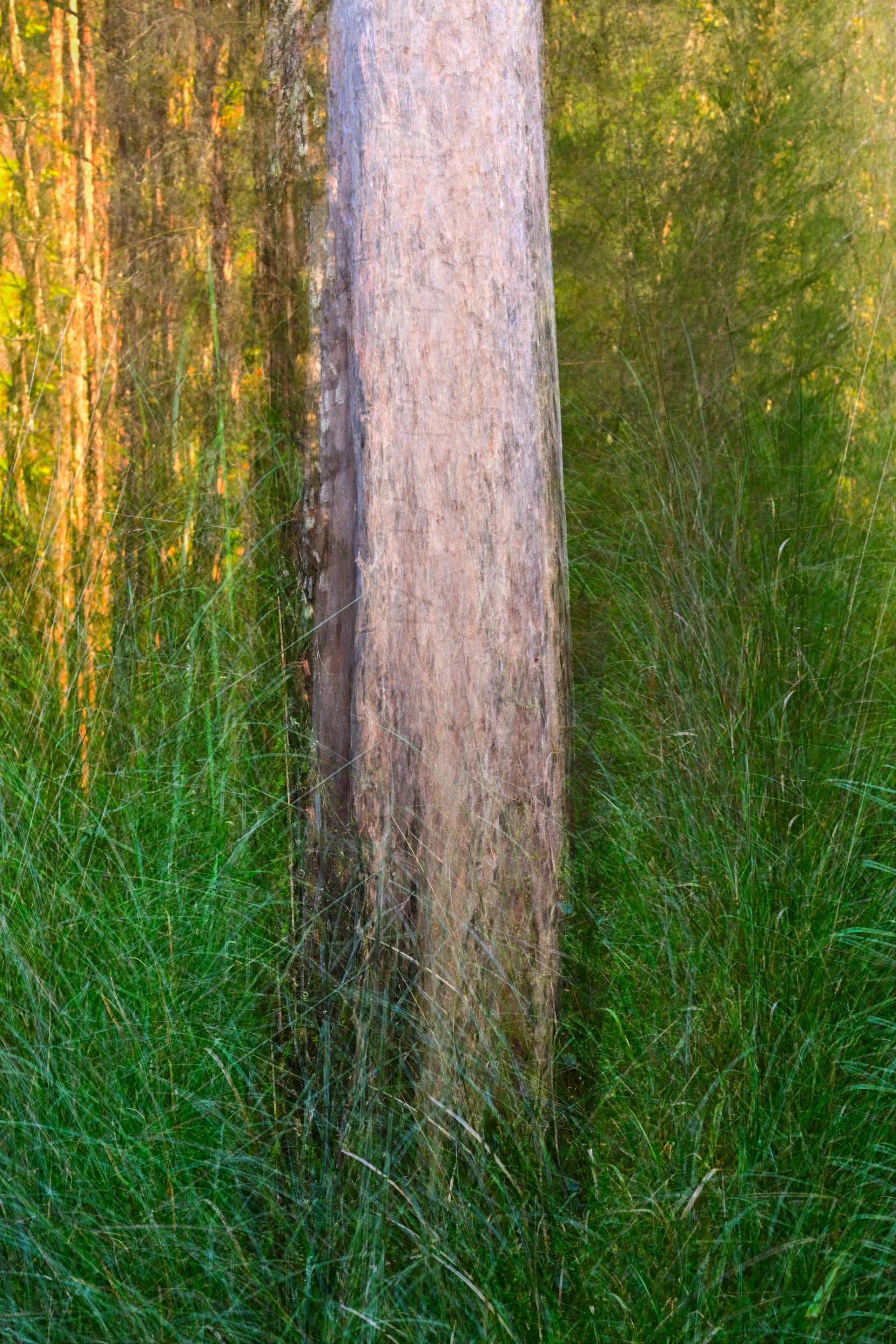 The Ghostly Gum