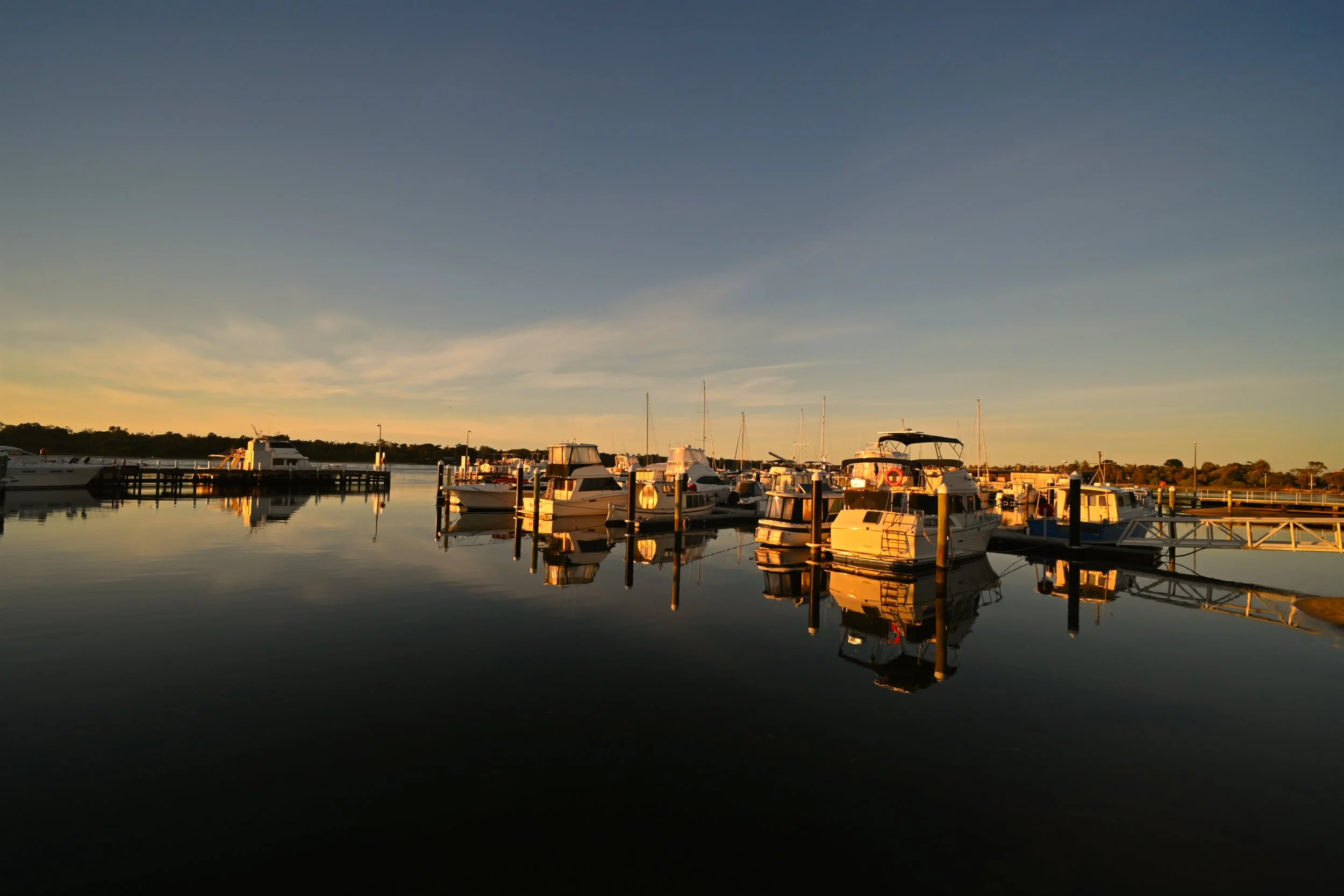 Holiday Sunrise