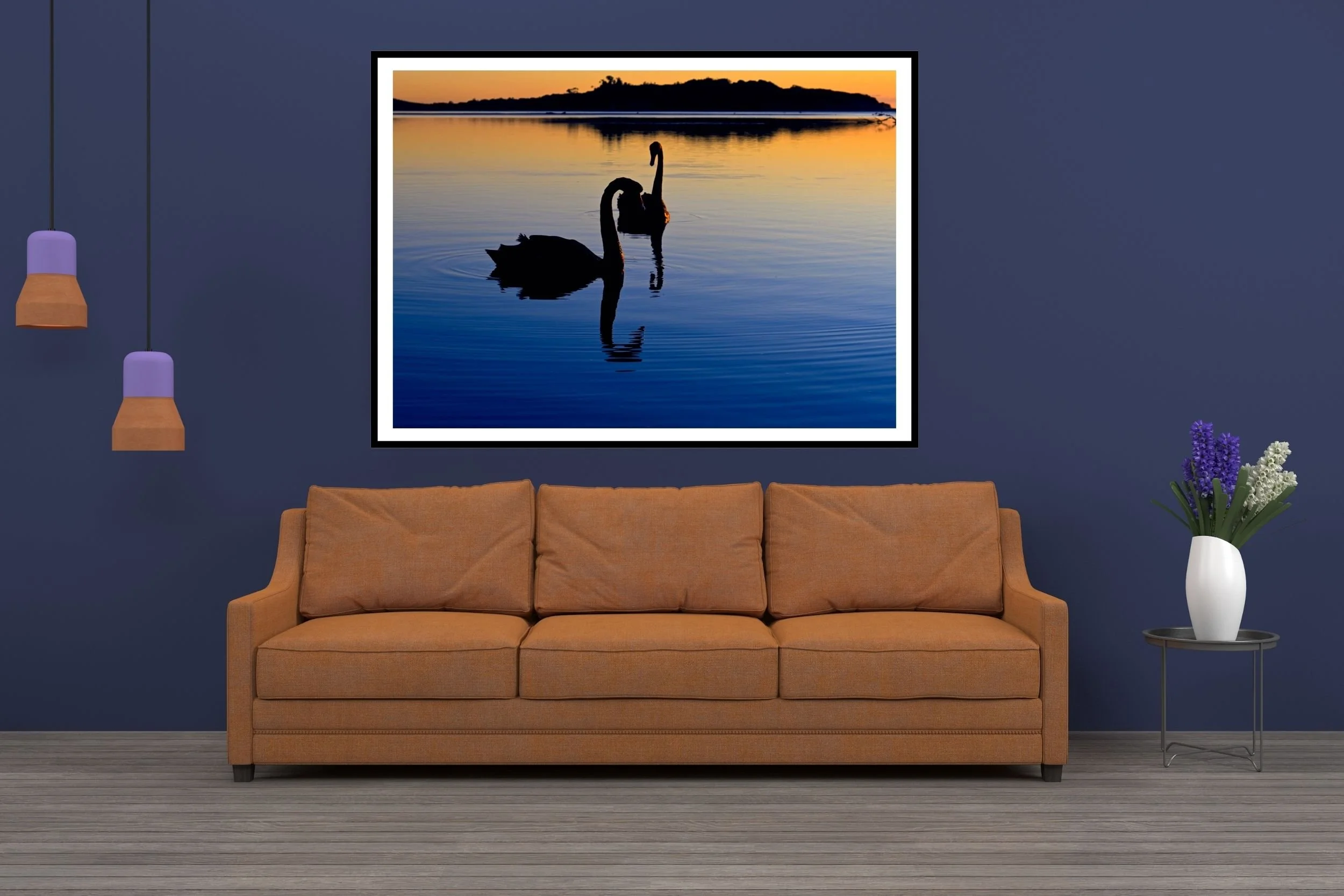 A pair of Black Swans swimming upclose at Lake Tyers in the beautiful Blue-Hour tones before sunrise.