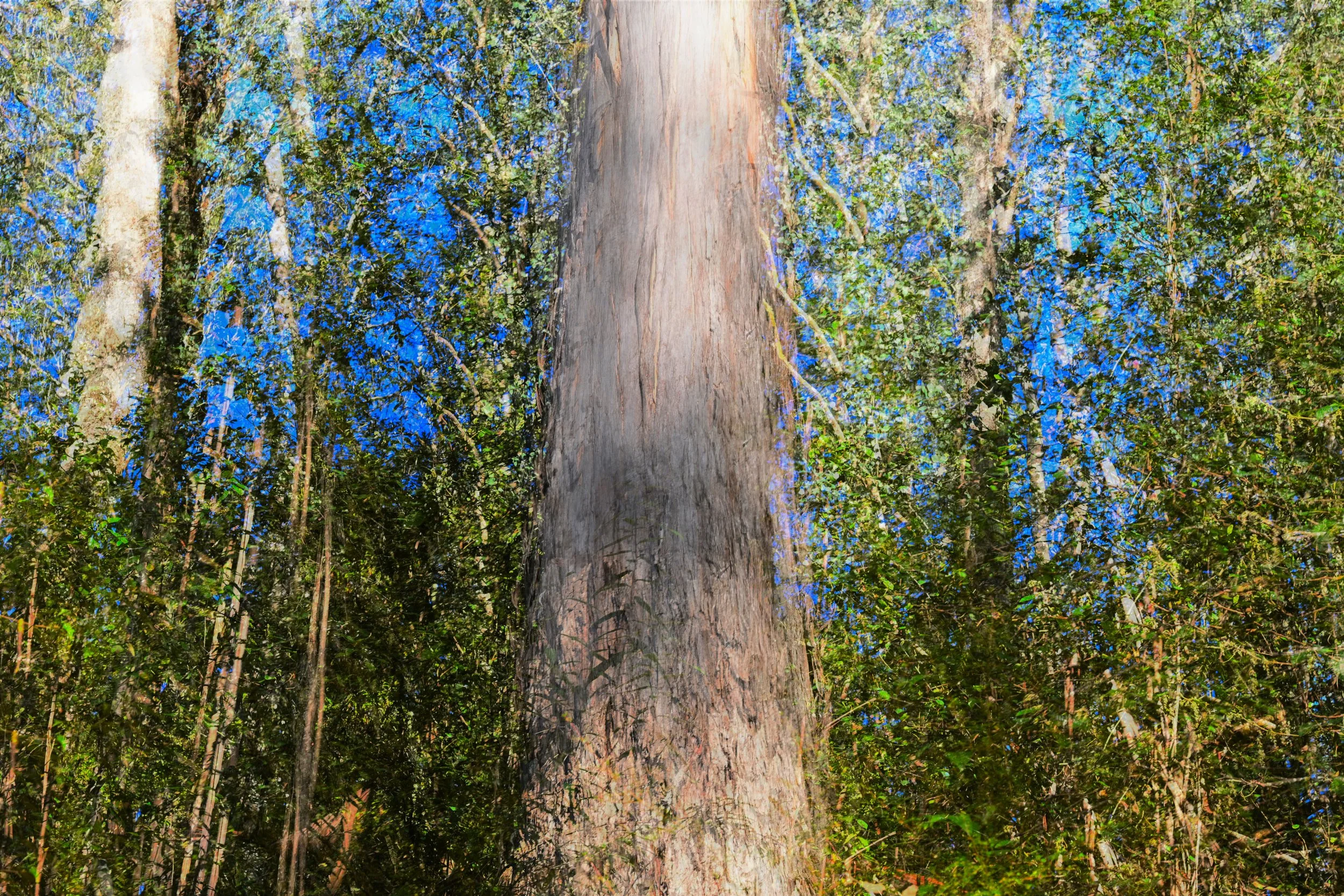 Foliage In Motion