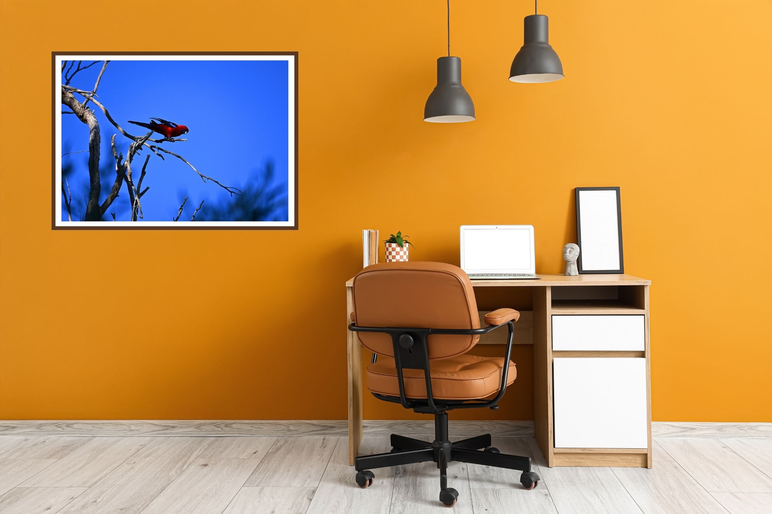 A striking Australian Rosella with its vibrant red and blue tones against a deep blue sky.