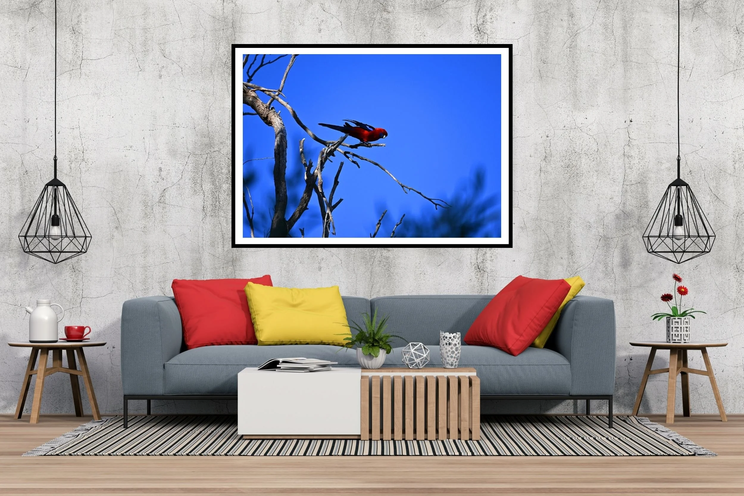 A striking Australian Rosella with its vibrant red and blue tones against a deep blue sky.