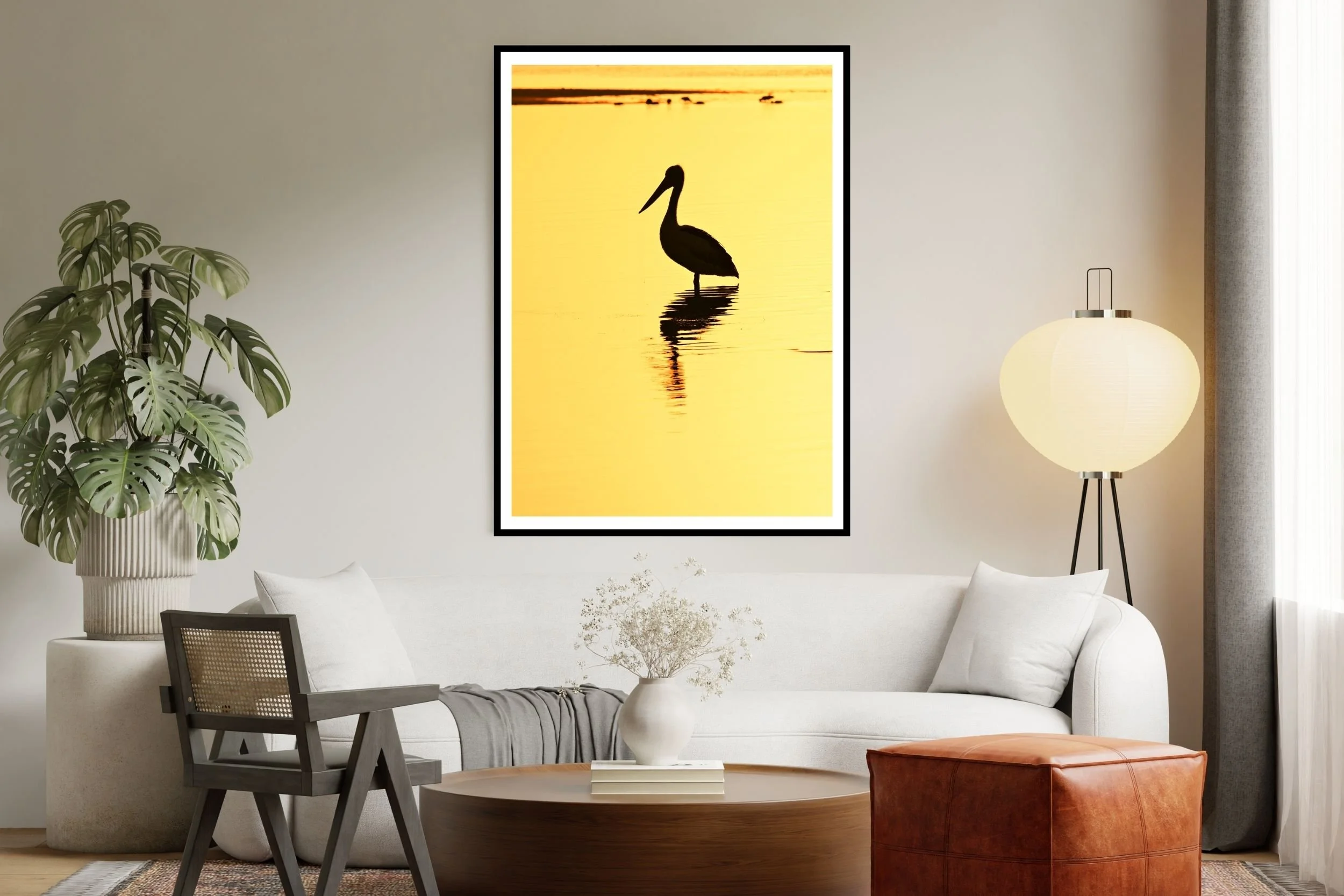 This Pelican is beautifully silhouetted against the lake water in the morning golden-hour sun at Lake Tyers, Victoria Australia.