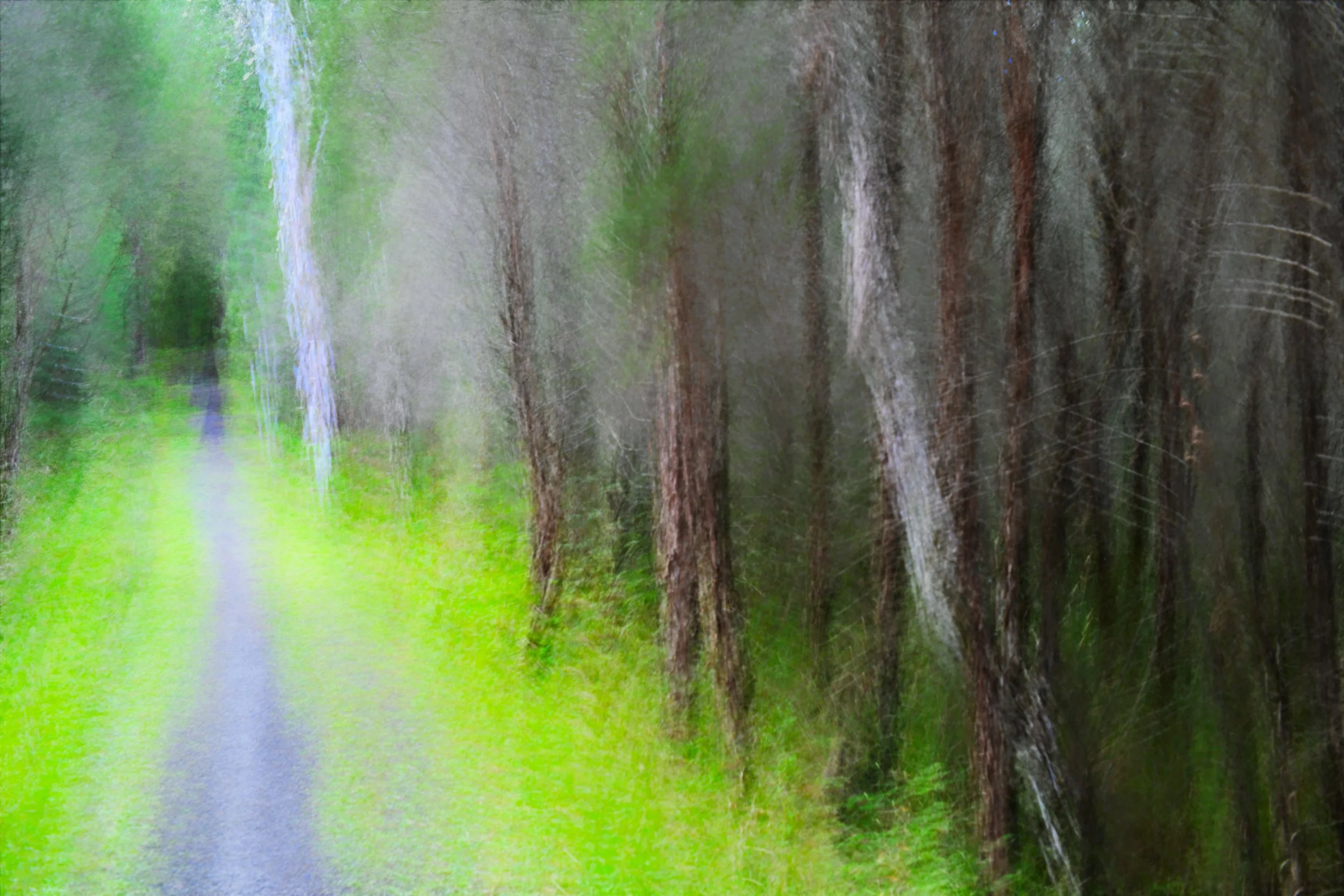 Luminescent Path