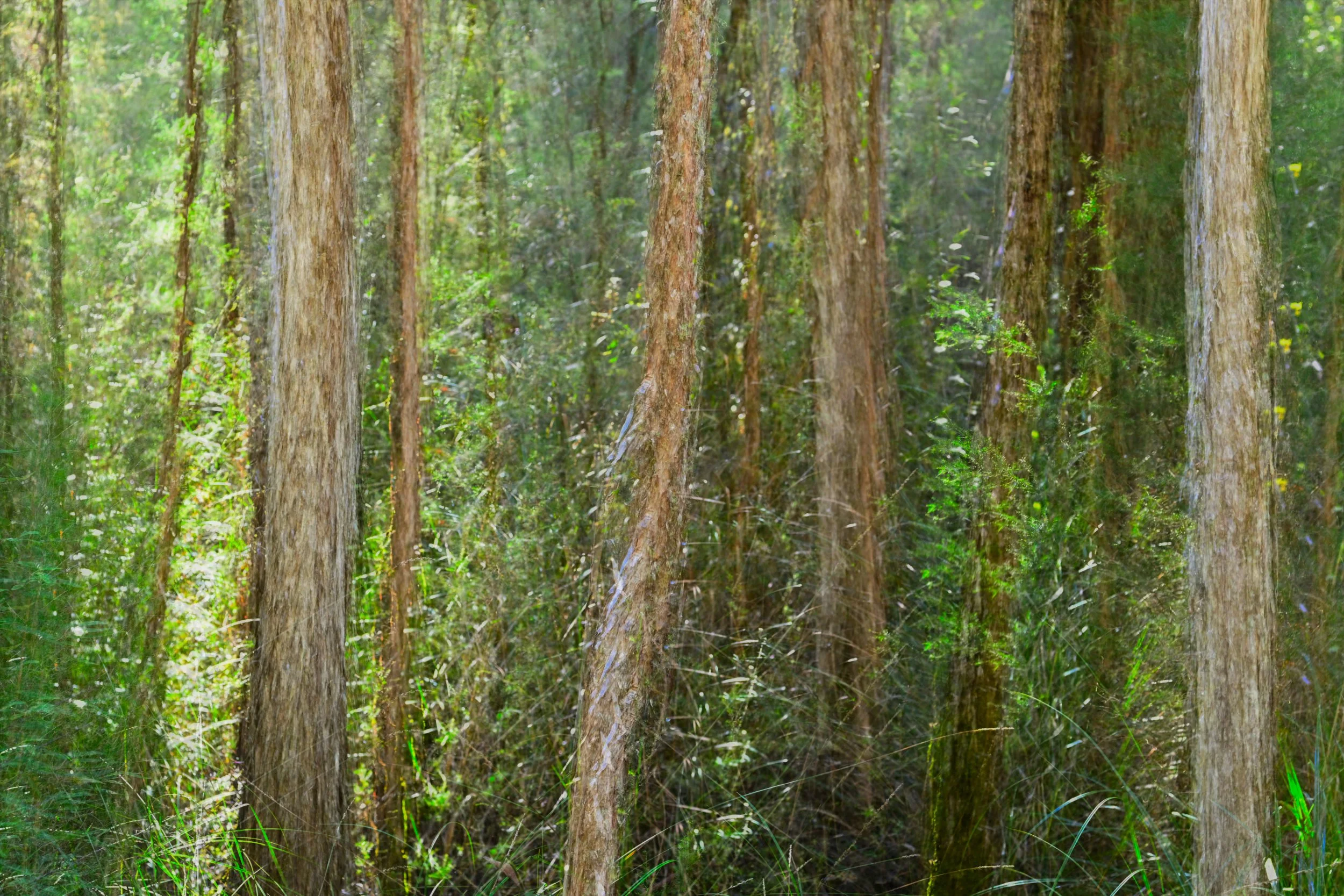 Green Layers
