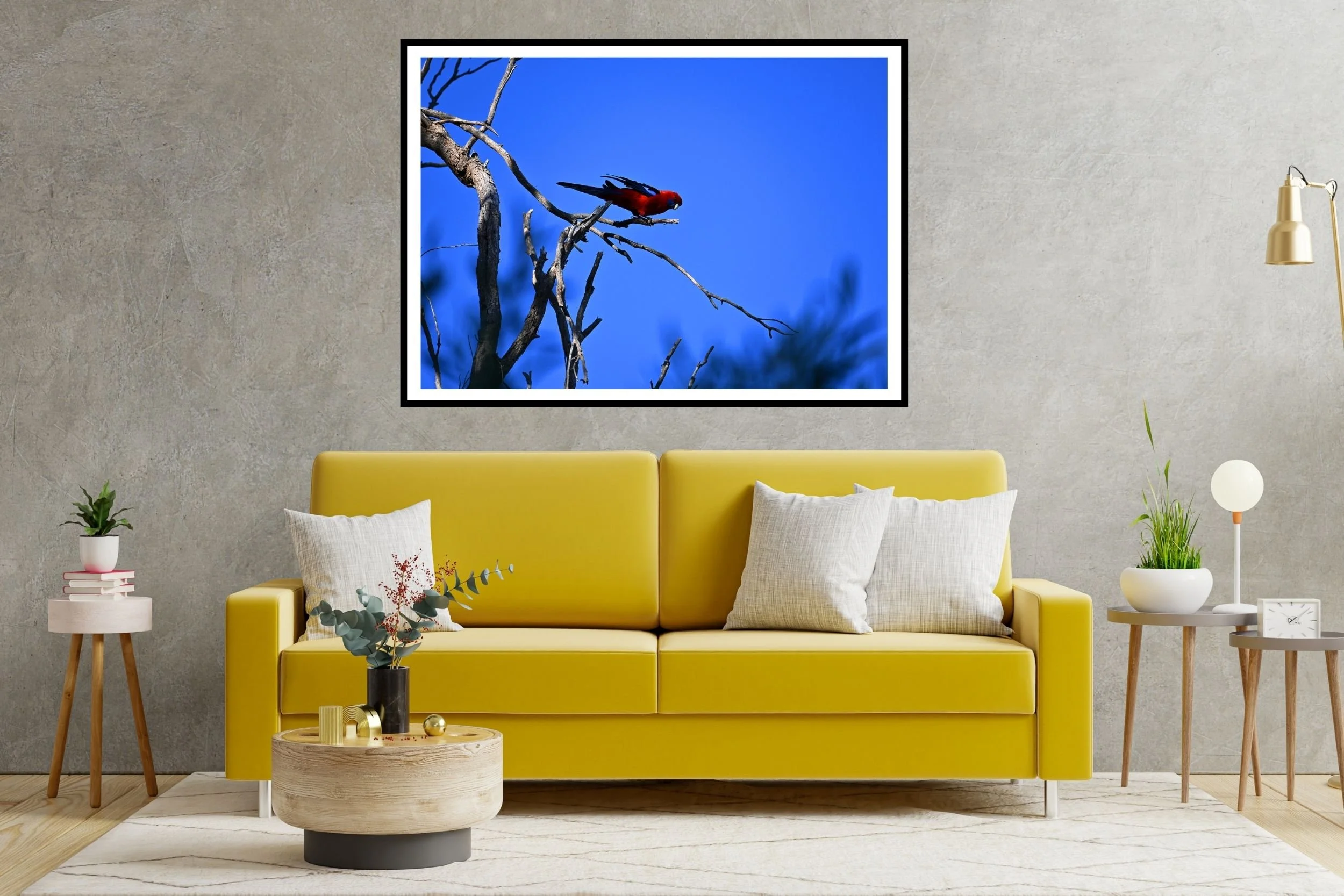 A striking Australian Rosella with its vibrant red and blue tones against a deep blue sky.