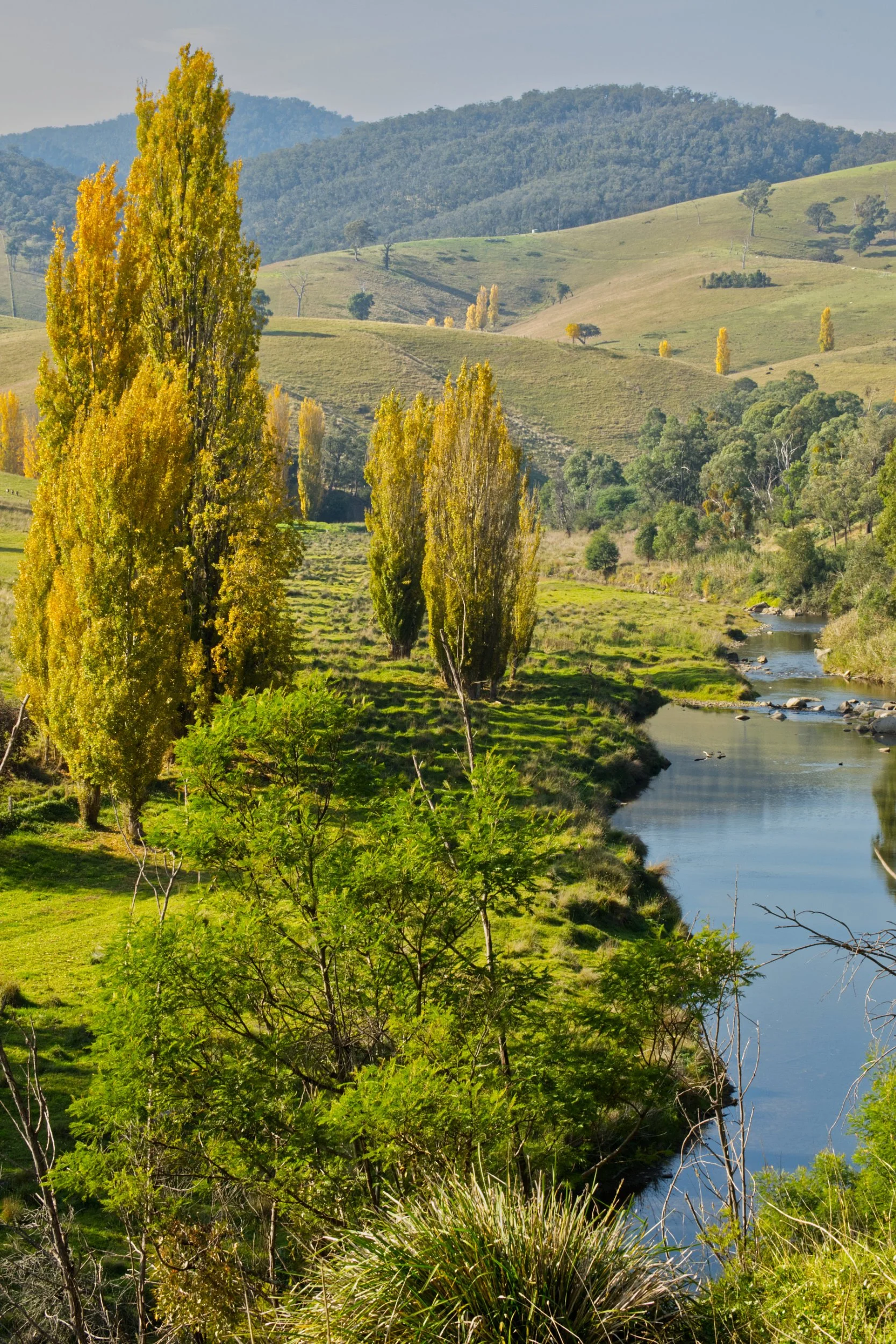 Tambo River.jpg