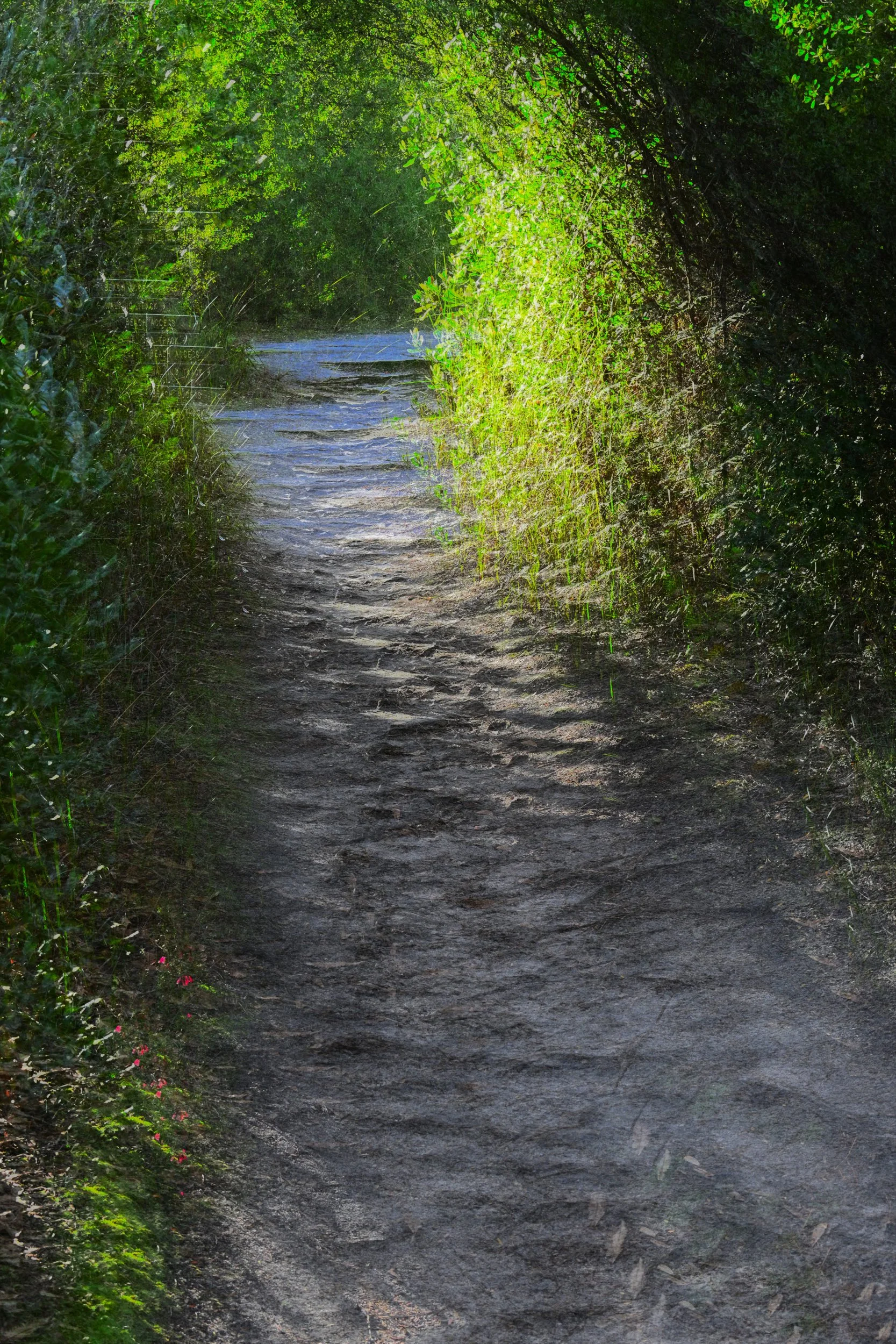 Cool Vibes Path