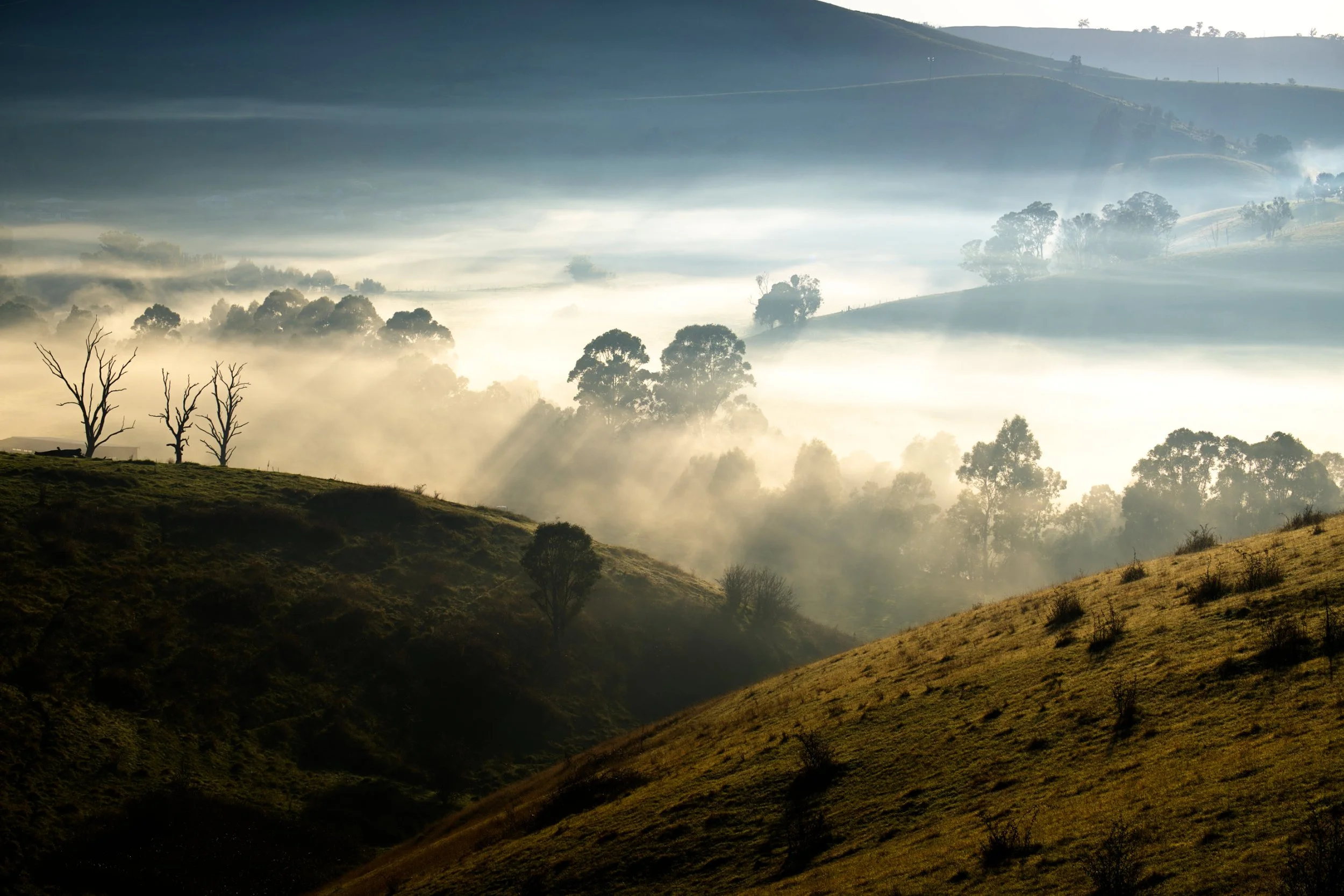 Foggy Valley Gippsland.jpg