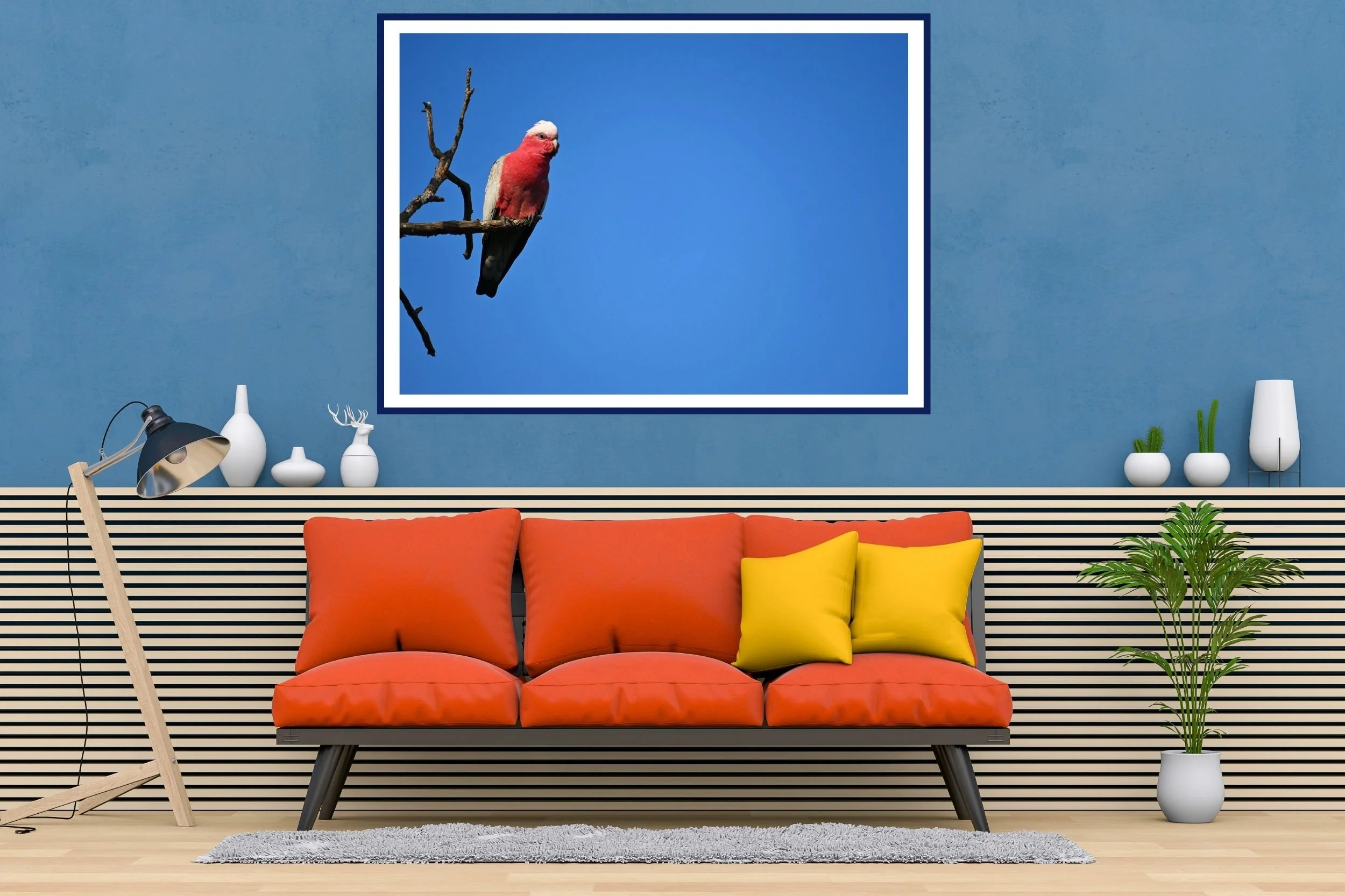 Striking Australian Galah photograph featuring vibrant pink tones against a deep blue sky.