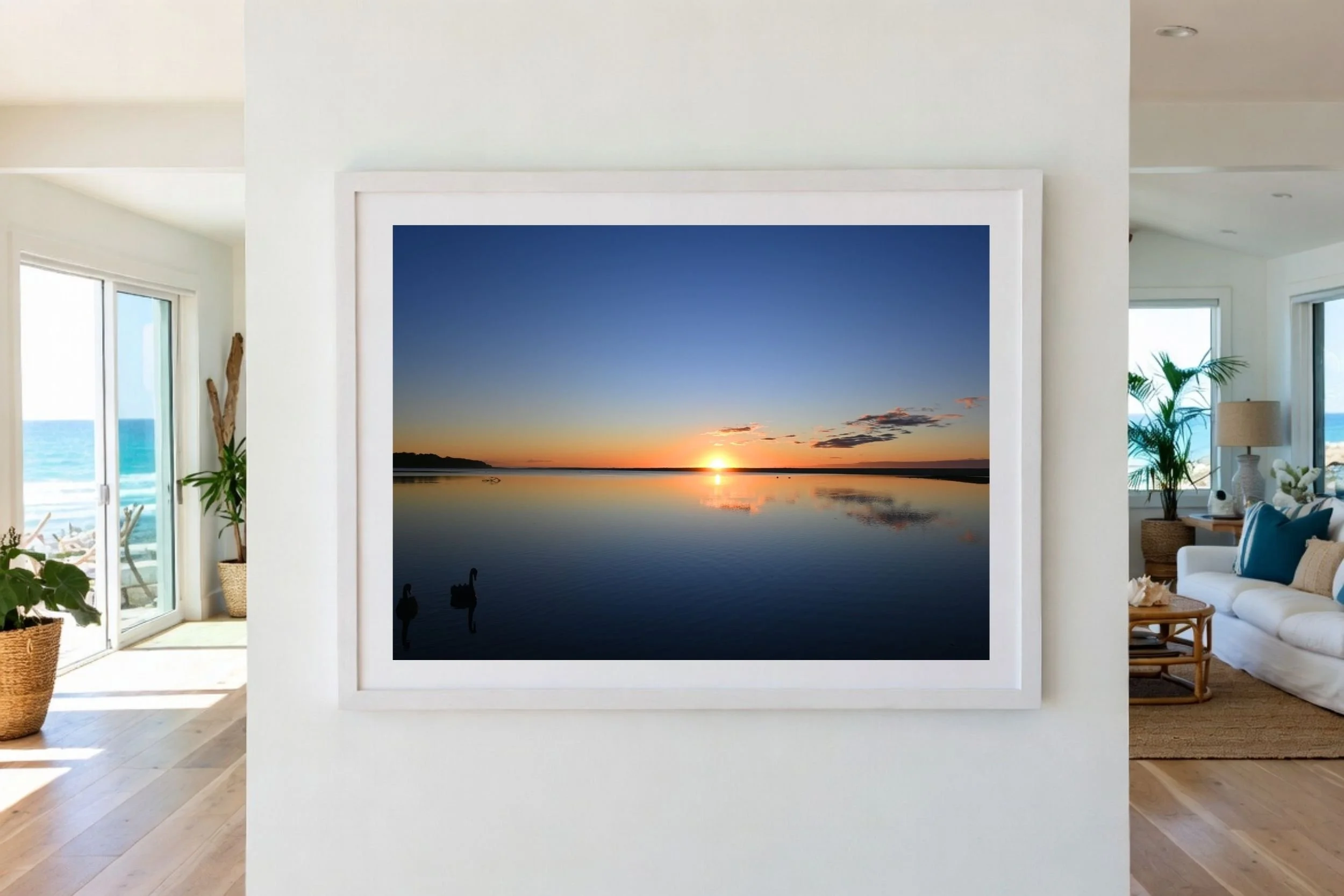 A scenic photograph of two black swans swimming together at sunrise at Lake Tyers Beach Victoria, Australia.