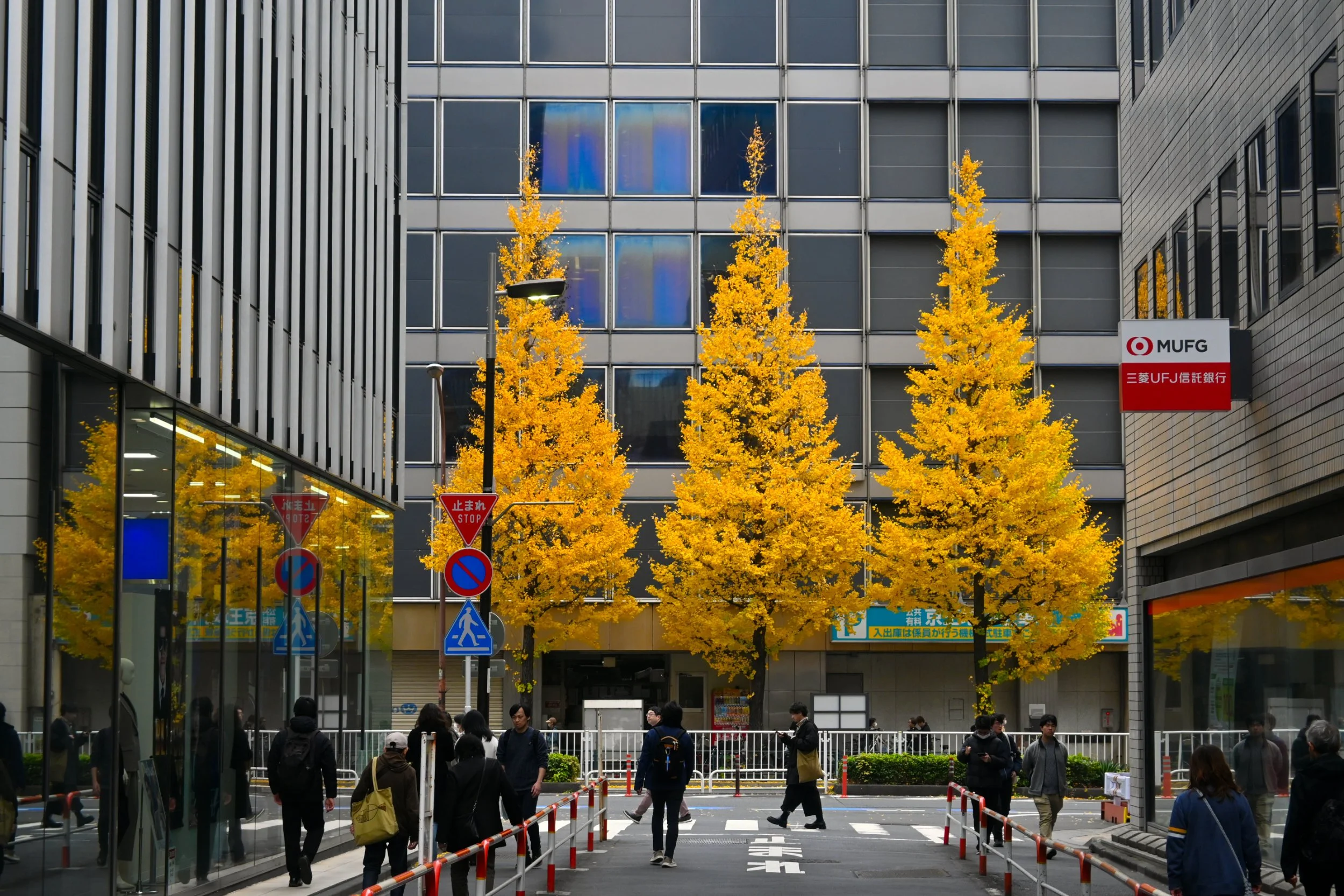 Autumn in Shinjuku