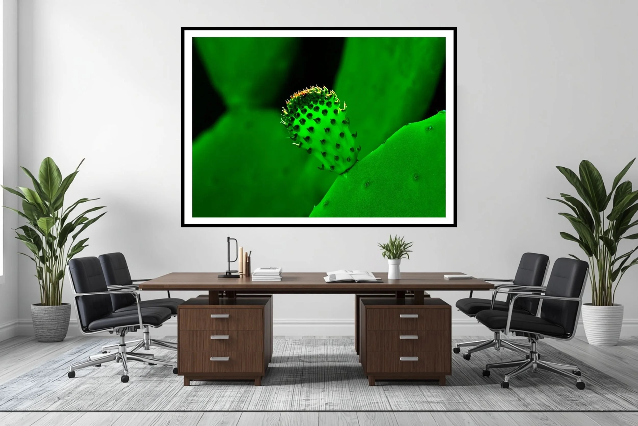 Cactus Bud emerging from a thick Cactus leaf ideal wall art for those whoe love nature art