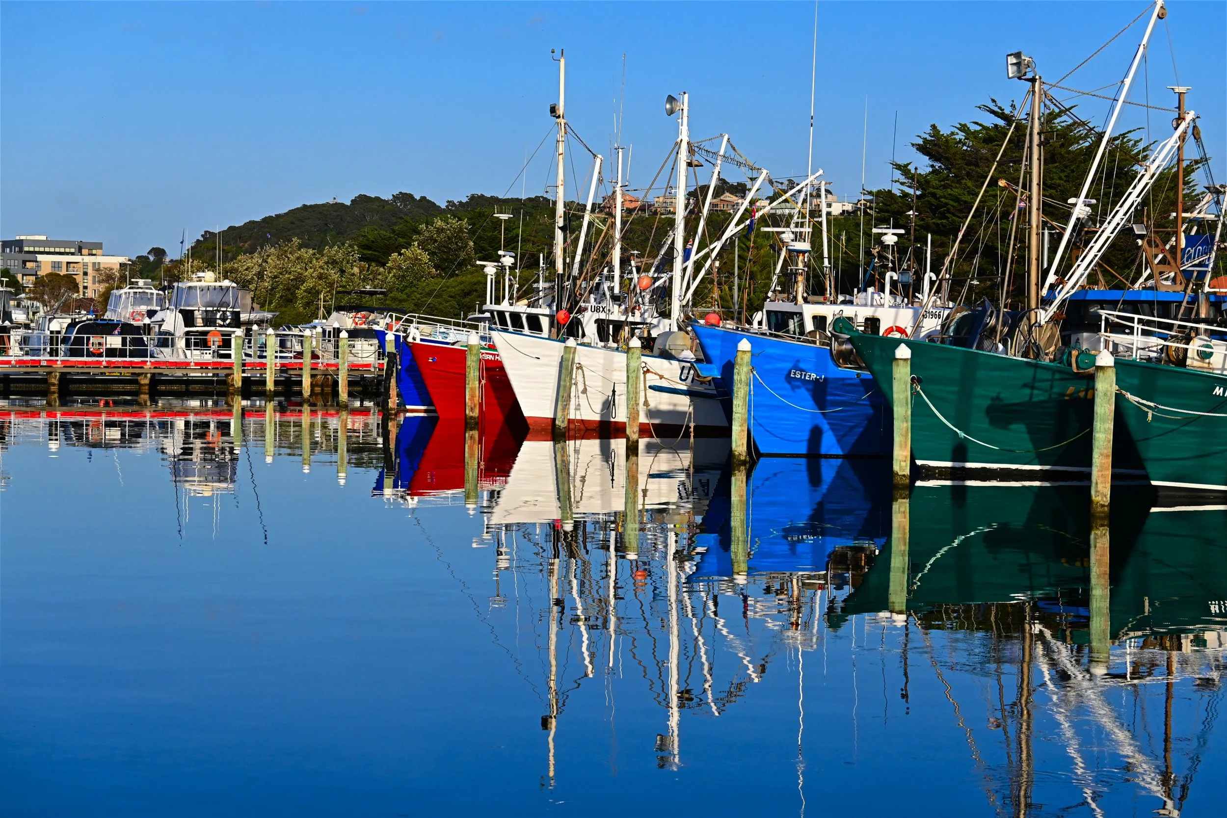 Colourful Reflections