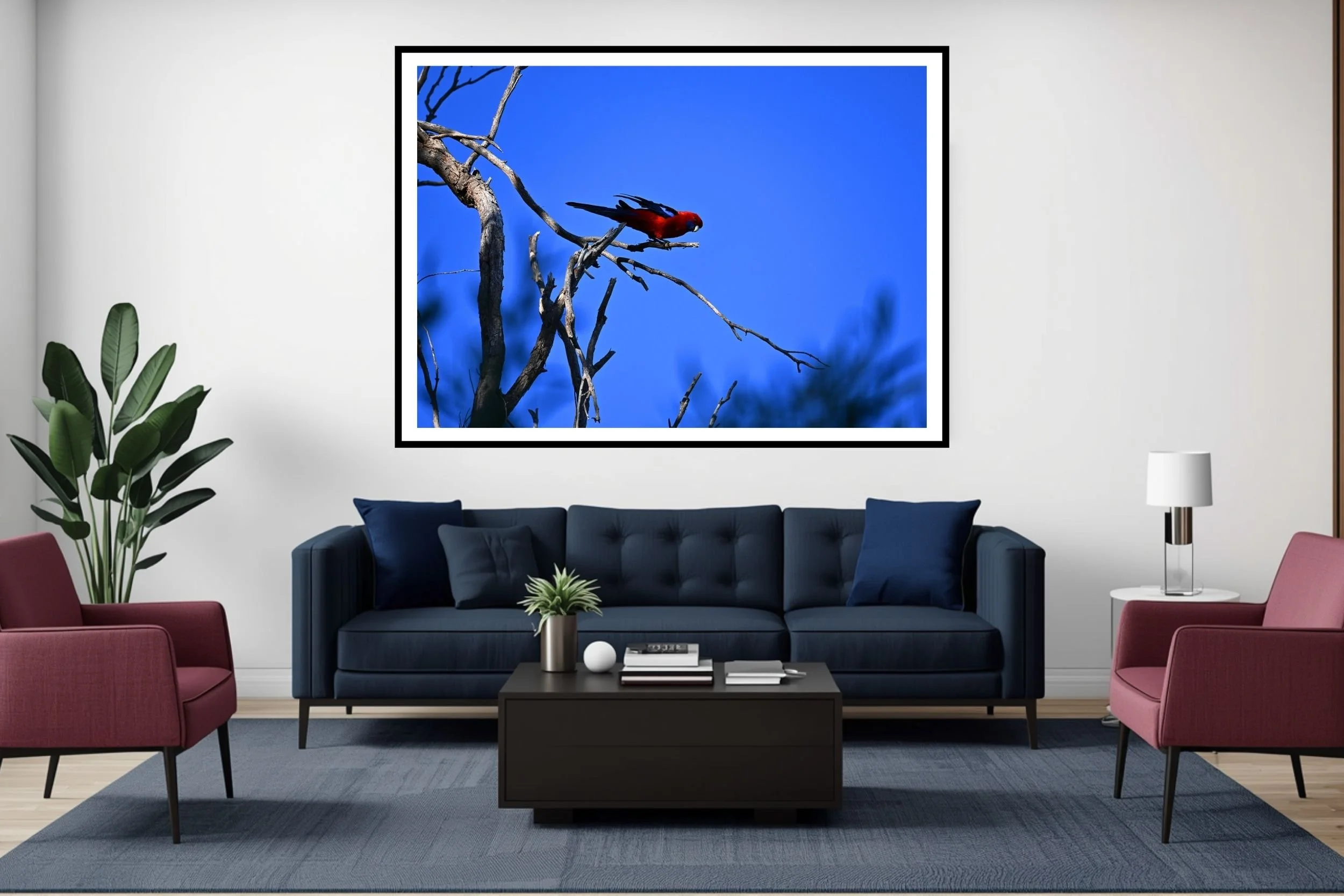 A striking Australian Rosella with its vibrant red and blue tones against a deep blue sky.