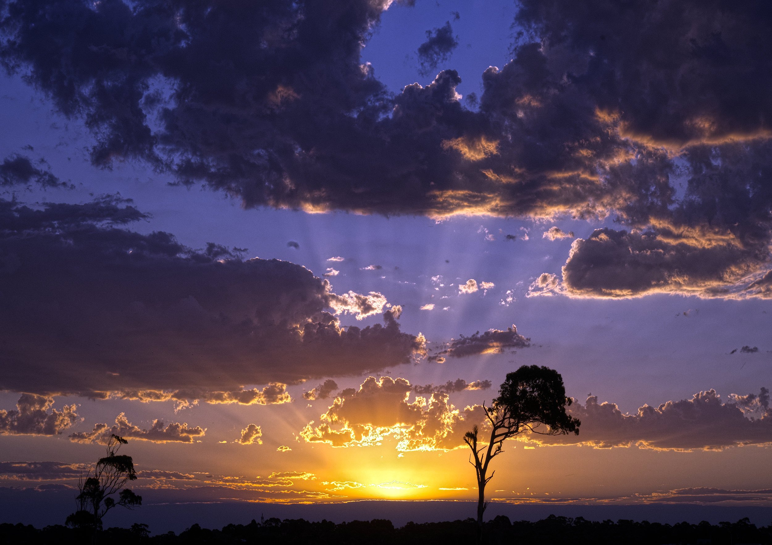 Country Sunset - Lake Tyers