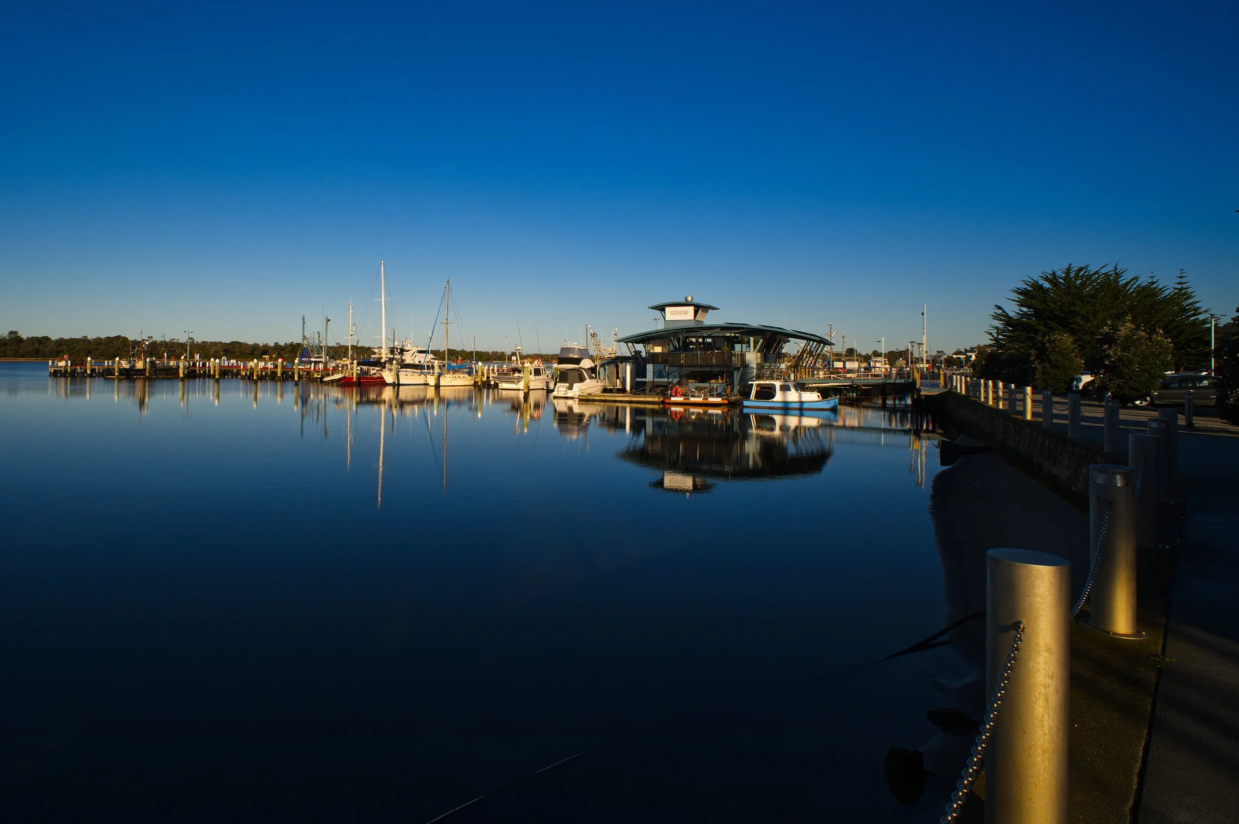 Early Morning Harbour View