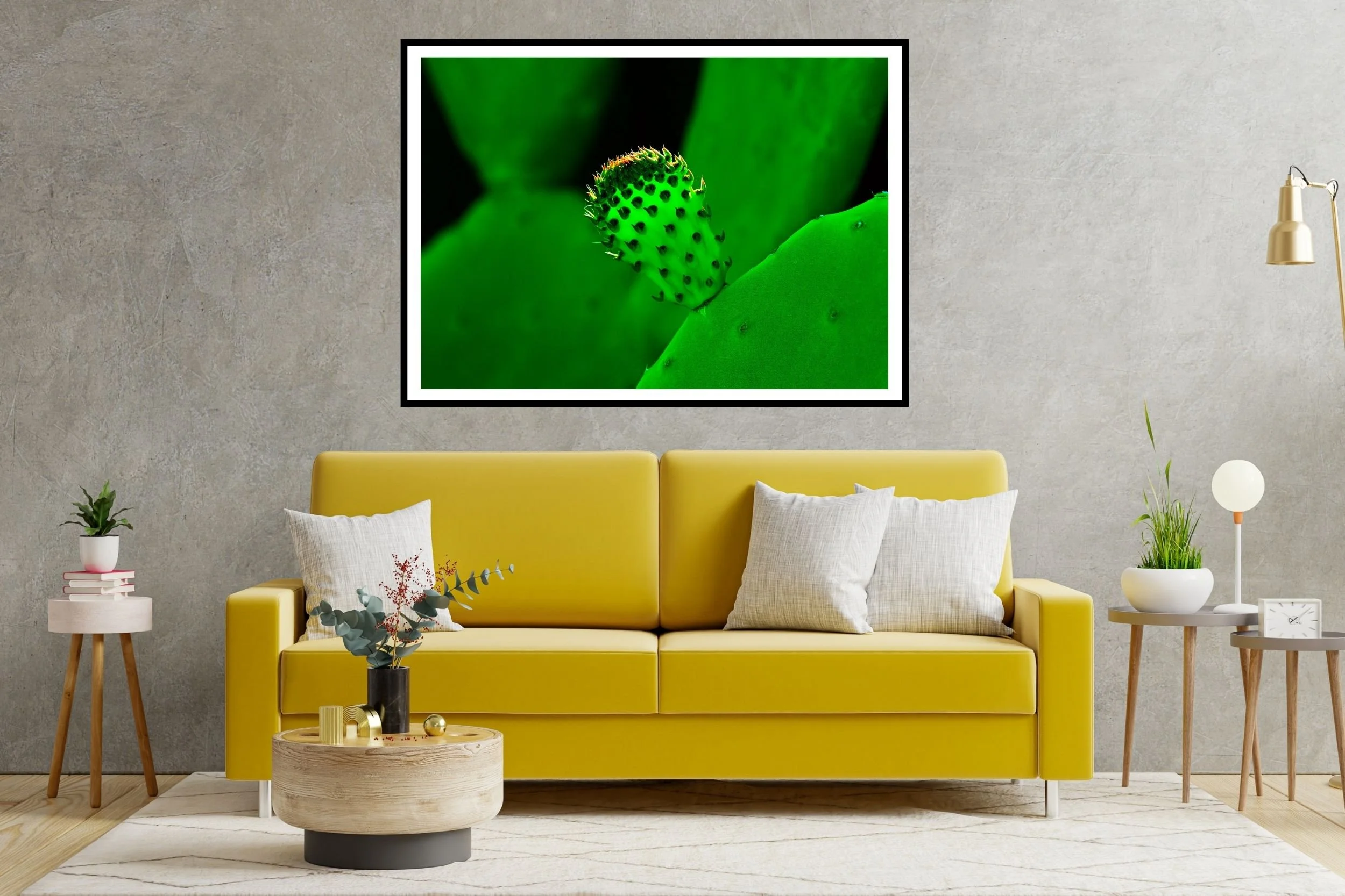 Cactus Bud emerging from a thick Cactus leaf ideal wall art for those whoe love nature art