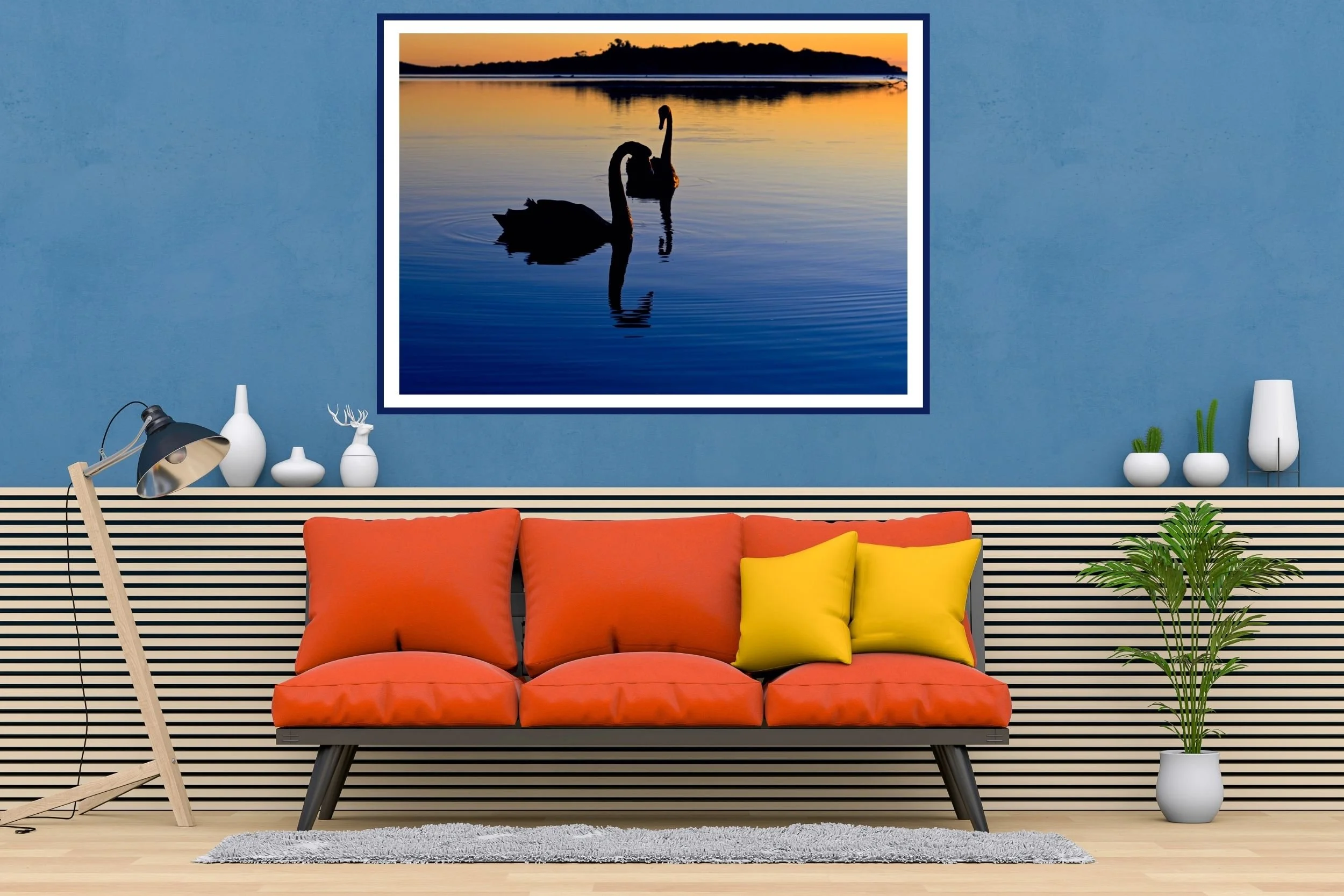 A pair of Black Swans swimming upclose at Lake Tyers in the beautiful Blue-Hour tones before sunrise.