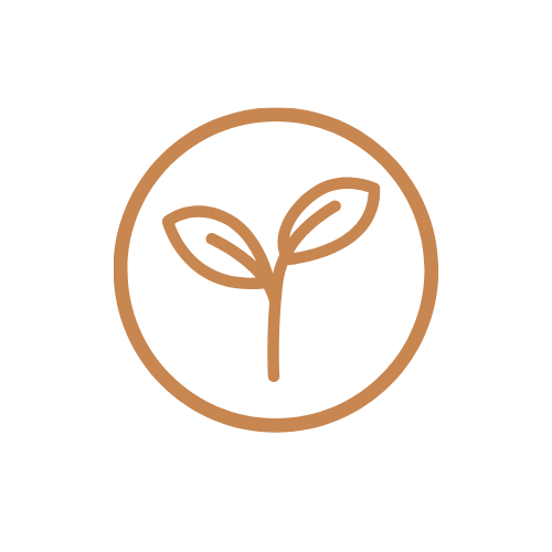 Simple line drawing of a sprouting plant inside a circle.