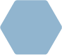 Hexagonal blue shape on a white background.