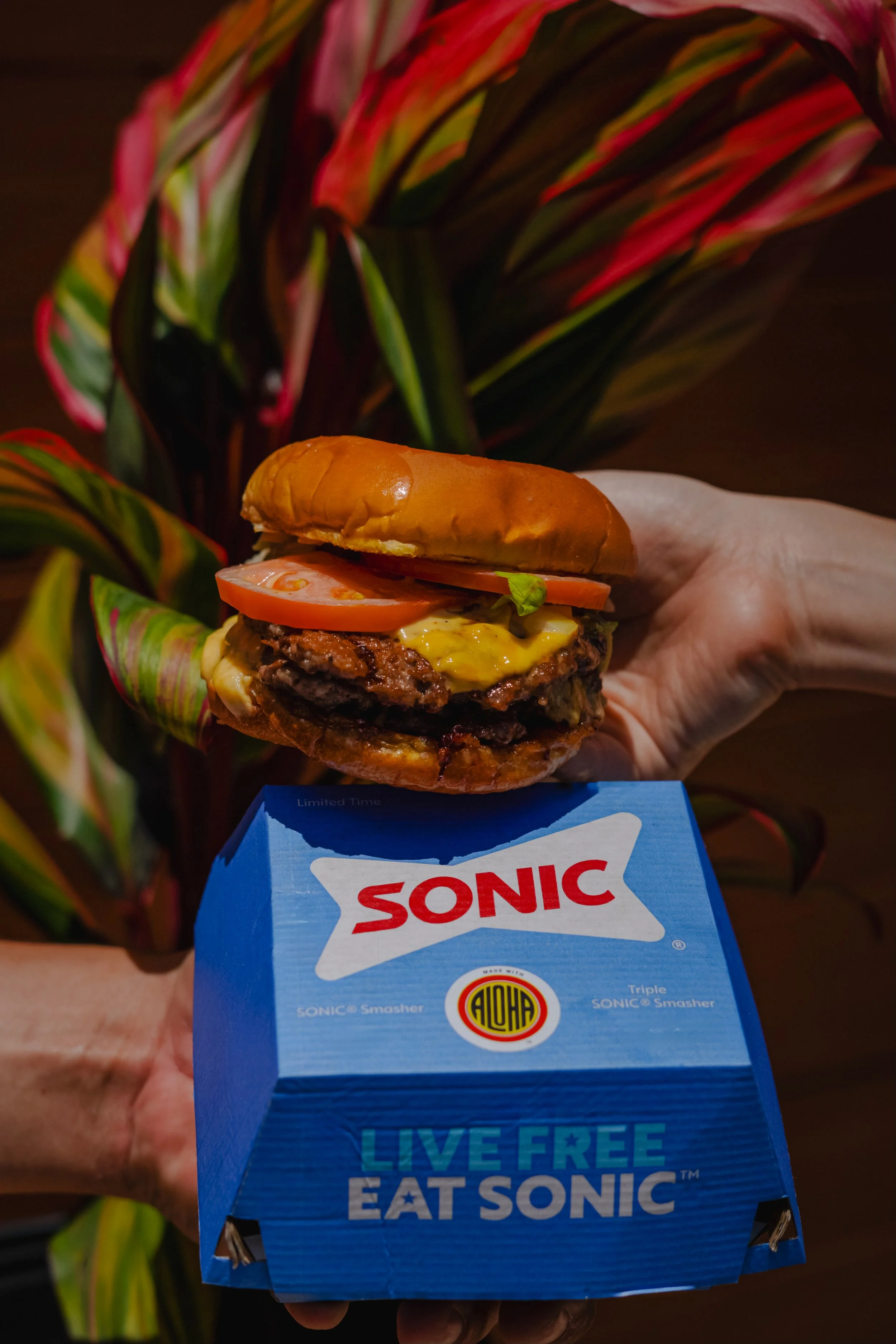 Sonic Hawaii Gand Opening
