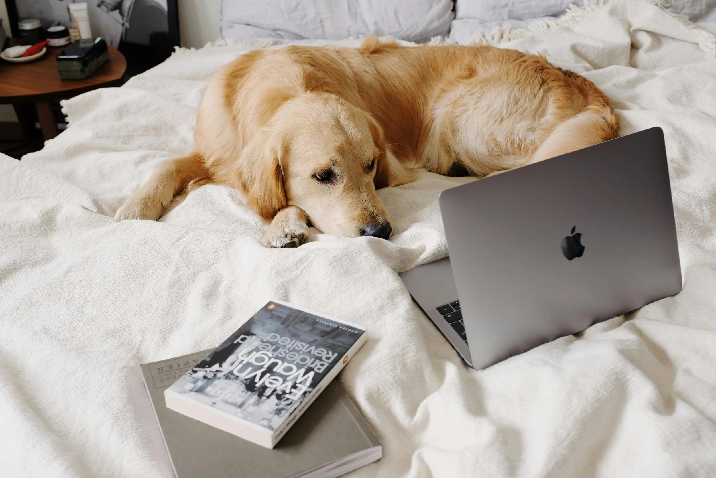 Boring AI Advice: Five Practical Uses for Your Business or Career