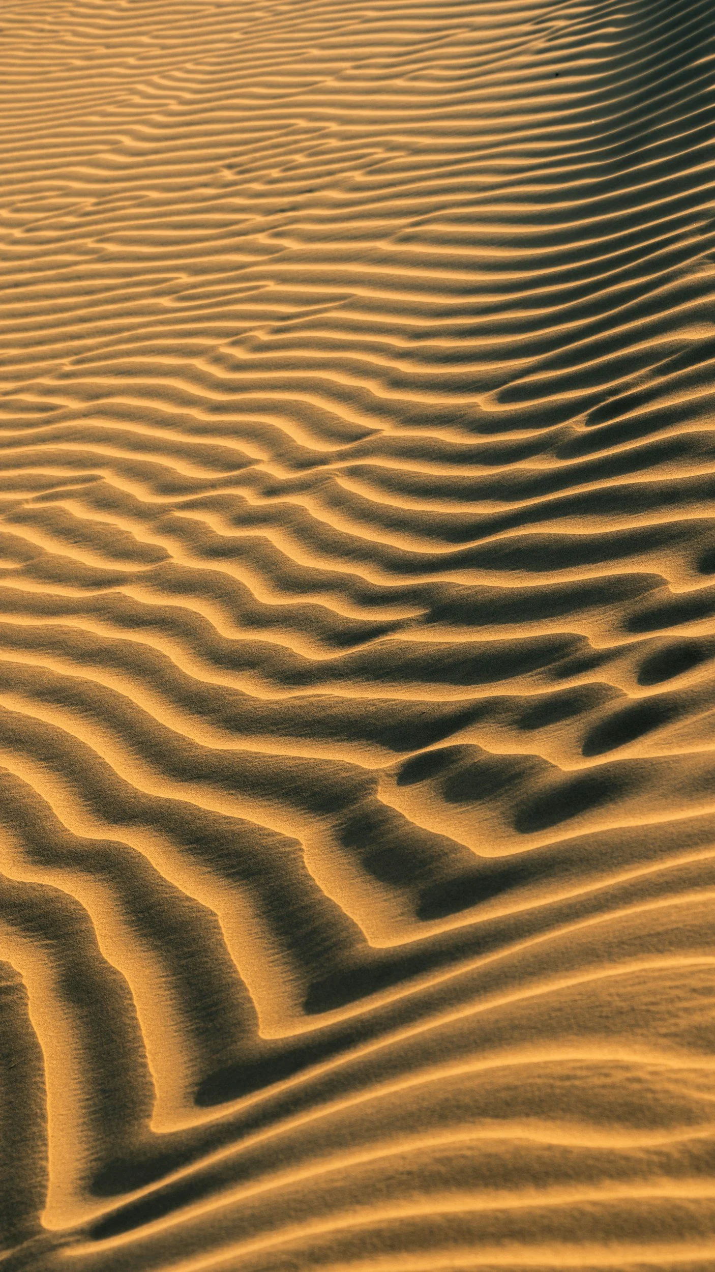 Close-up of sand dunes with rippled patterns at sunset.