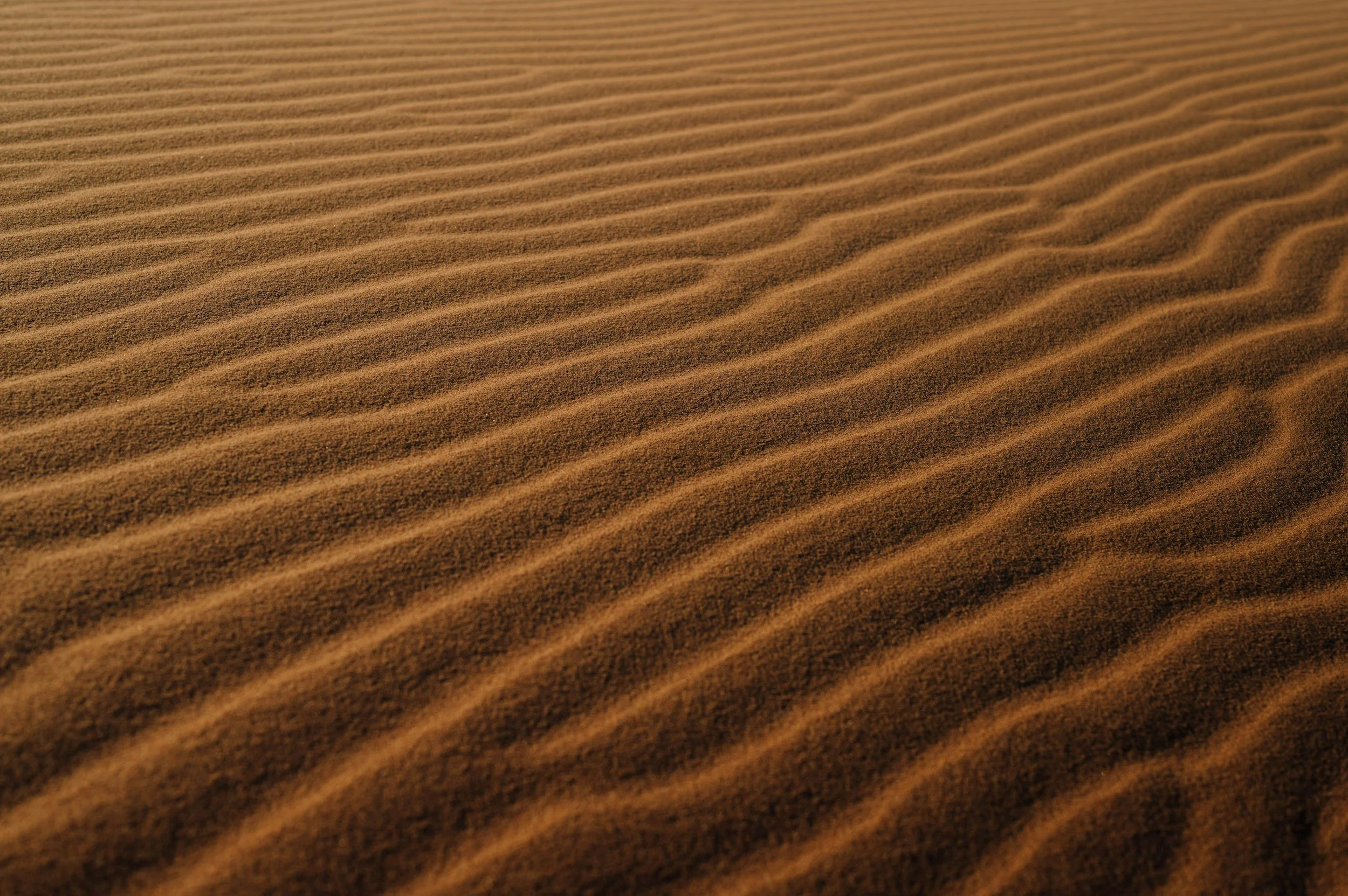 Close-up view of sand dunes with rippled patterns in a desert.