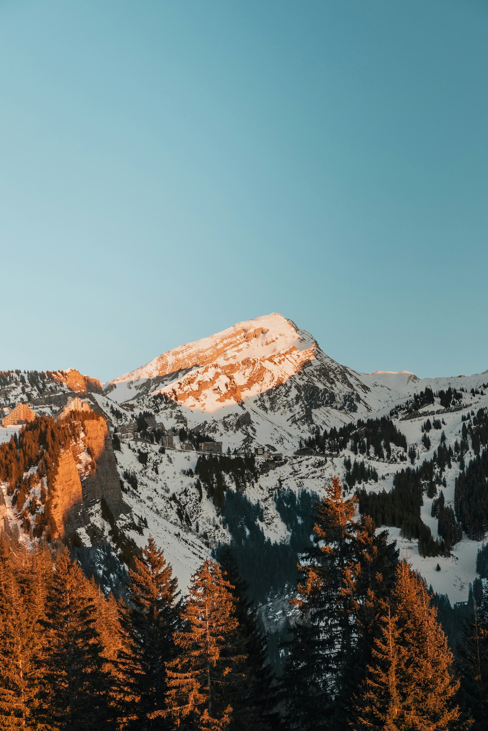Snow-capped mountain with trees in the foreground under a clear sky at sunset.