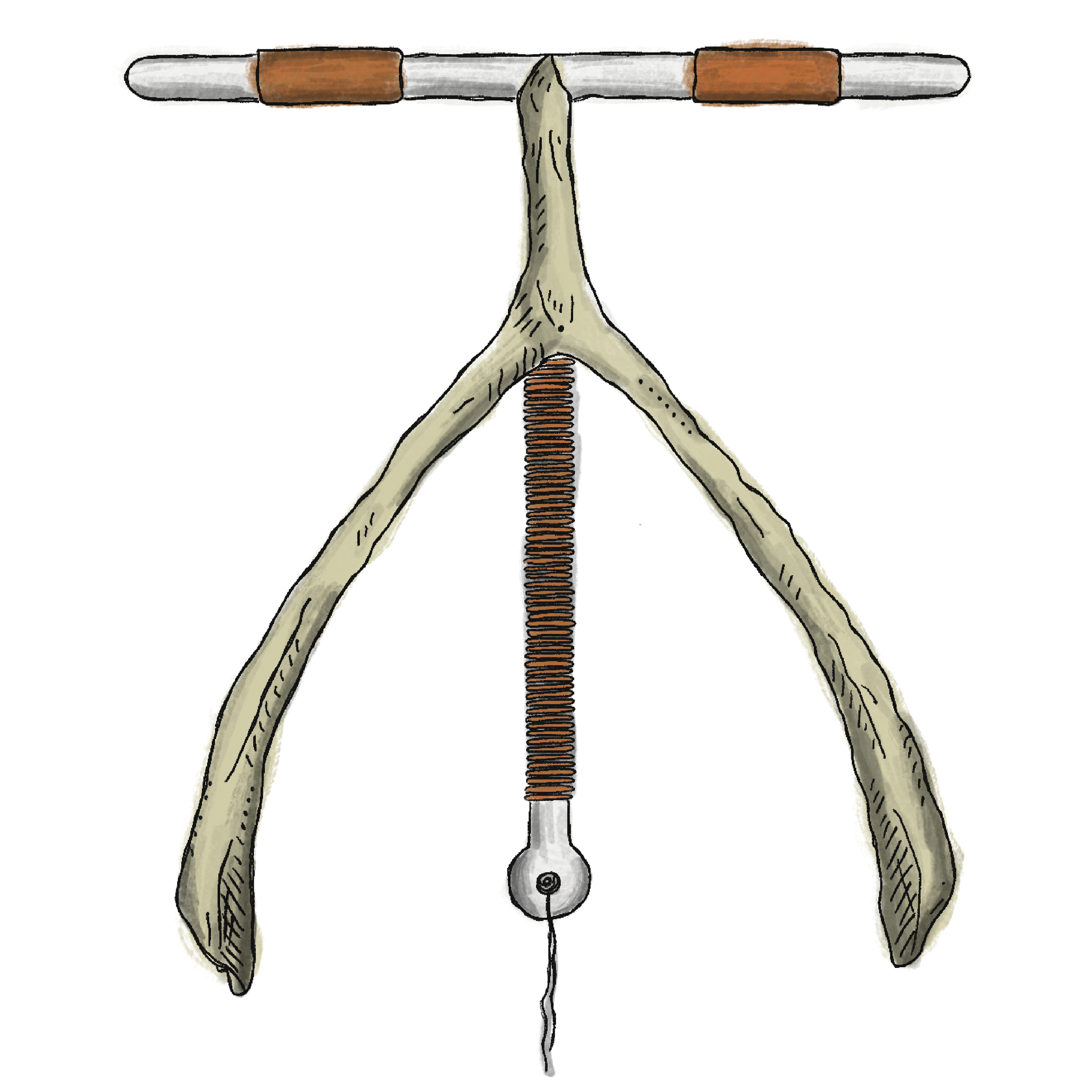 iud wishbone2.png