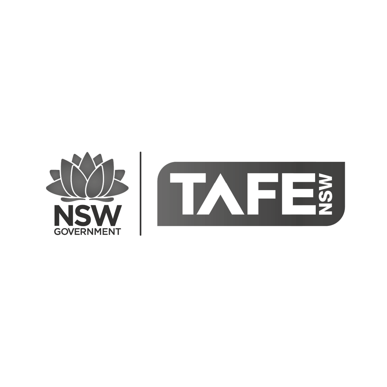 TNP_ClientLogos_202115.png