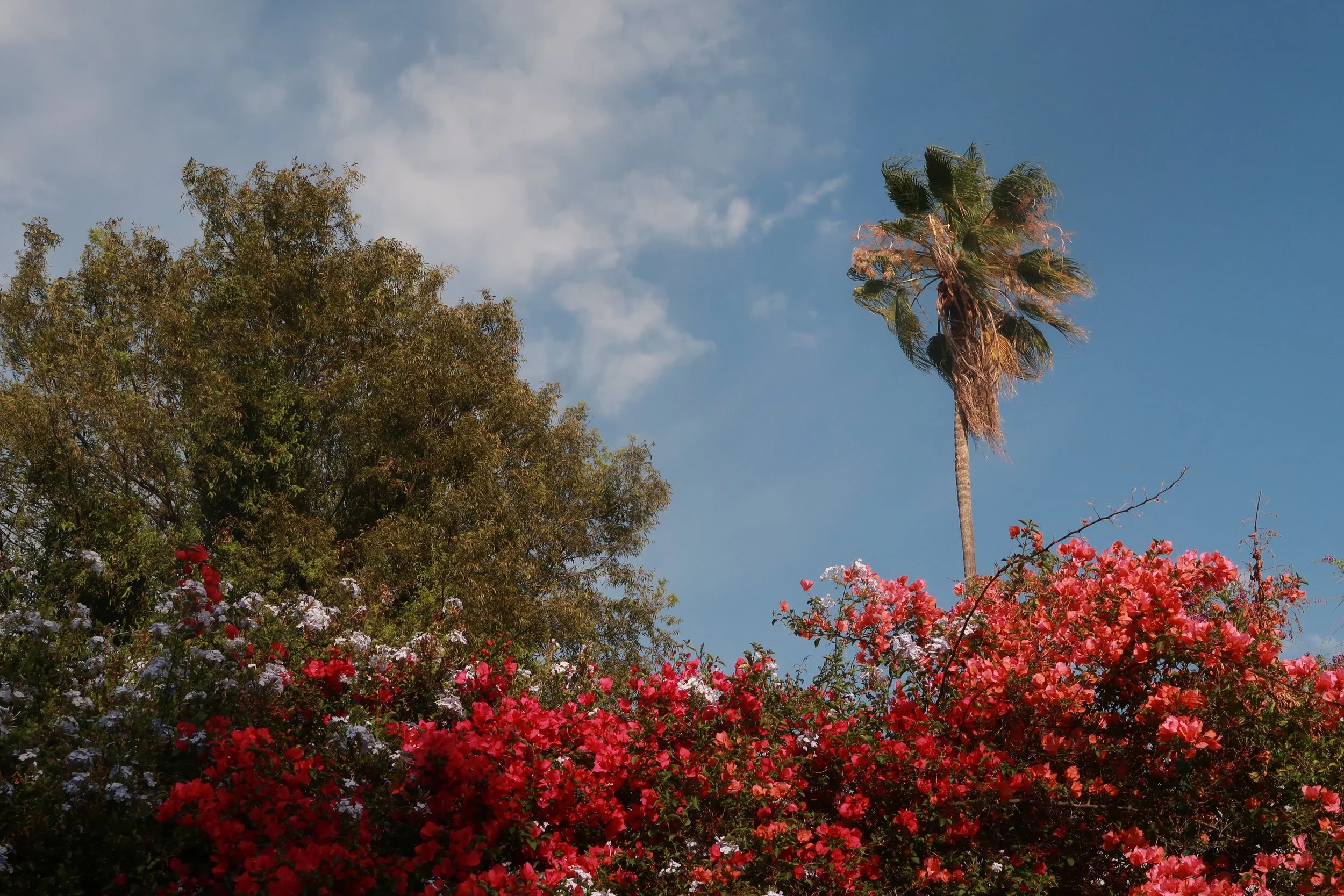 OAXACA, MEXICO