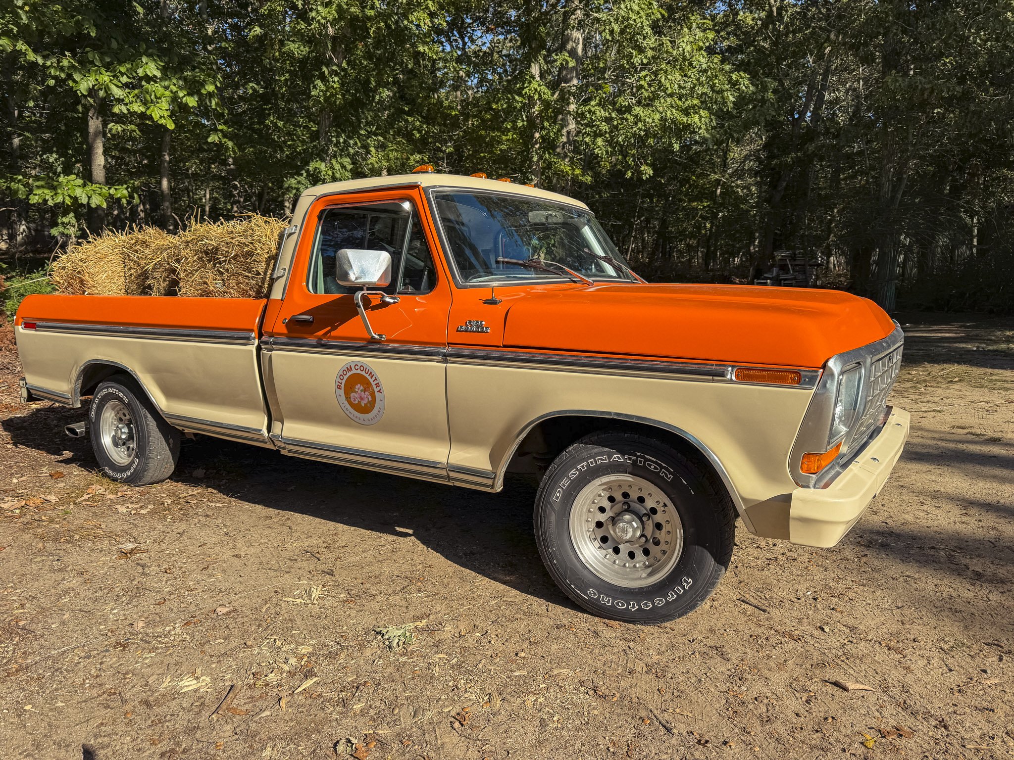 A vintage orange pickup truck with a beige roof carrying hay, parked outdoors with trees and blue sky in the background.
